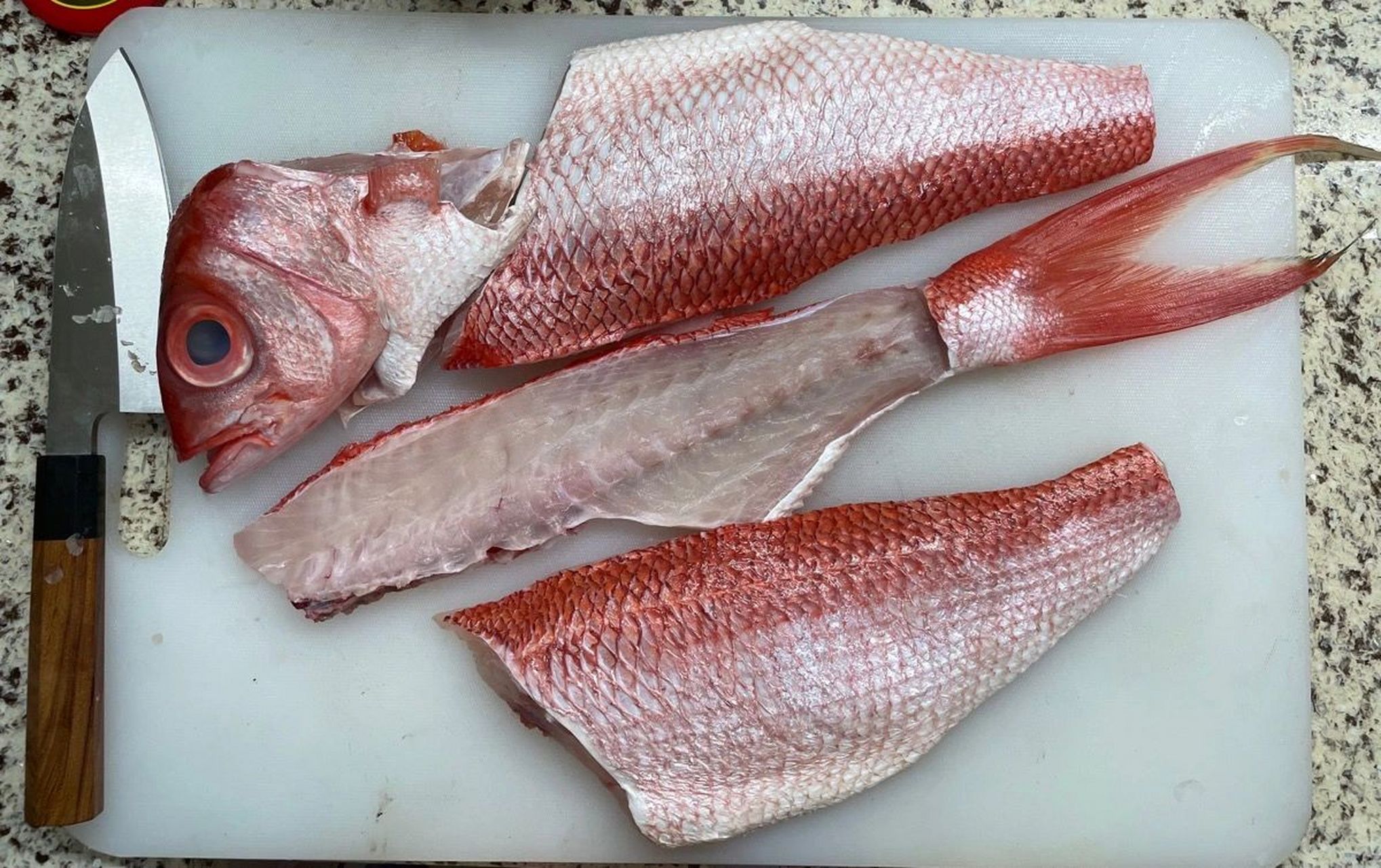 长尾滨鲷 长尾滨鲷,俗称长尾鸟.