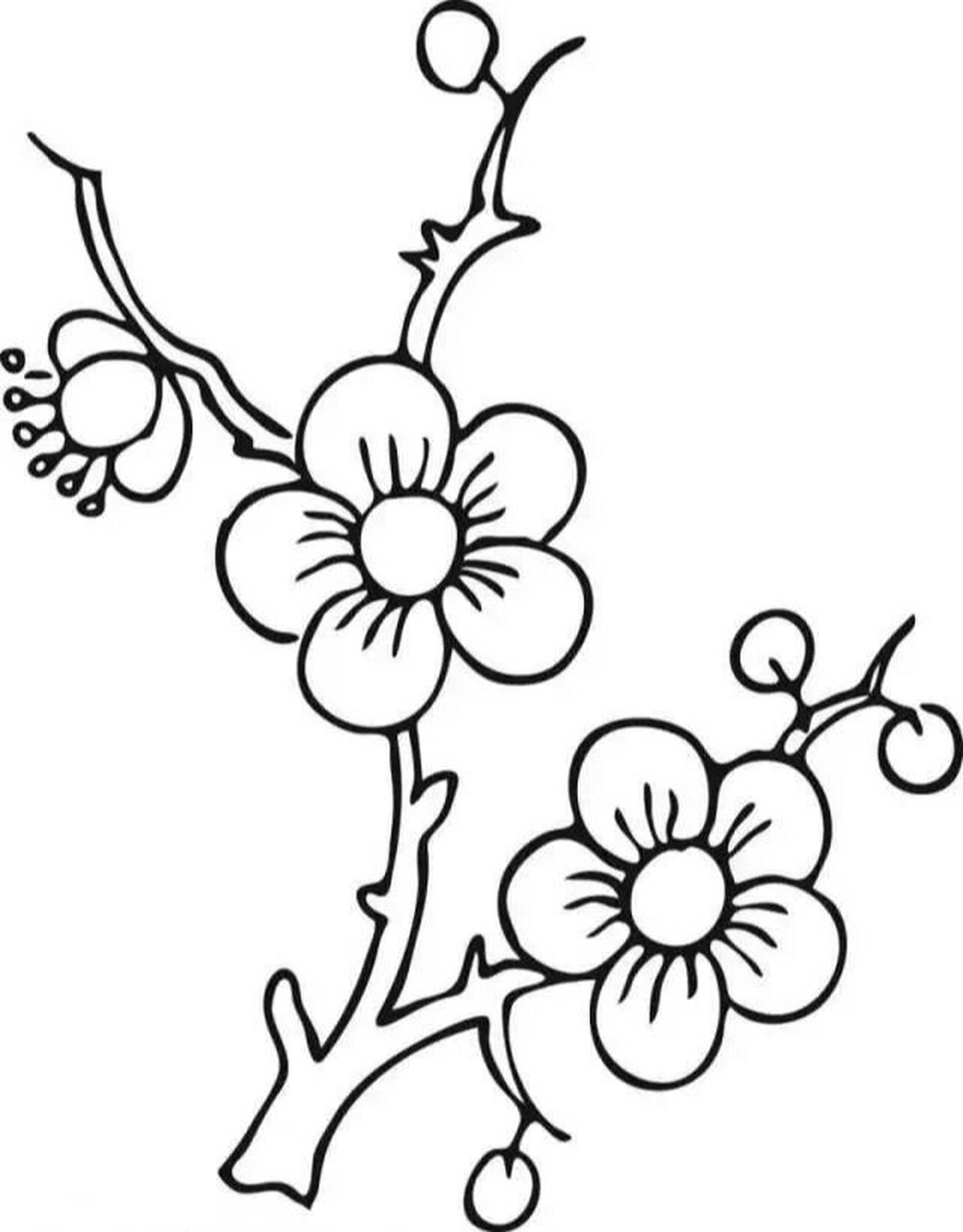 梅树枝画法图片