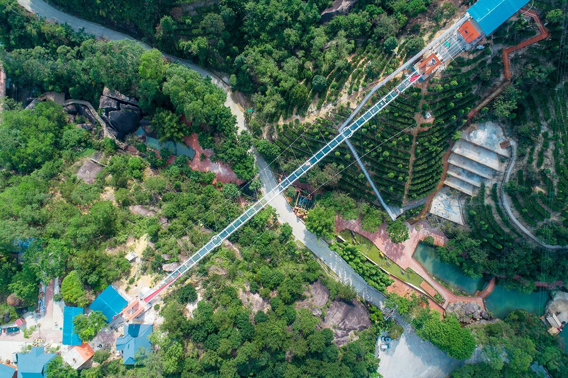 潮州市紫莲森林生态旅游度假区 在紫莲玻璃桥上,感受山的俊秀与豪迈