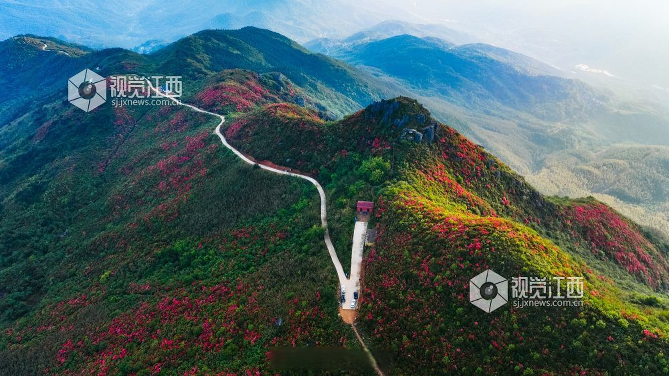 总要来趟江西吧#【江西丰城:升华山杜鹃花开】4月21日, 在江西省丰城