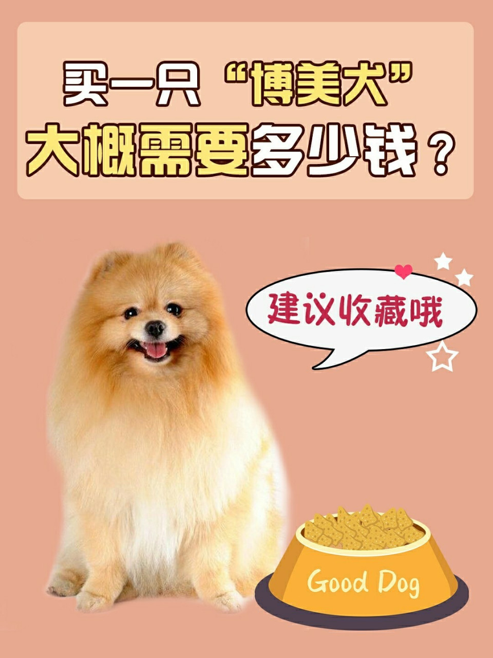 买一只"博美犬",需要多少钱9090 你知道买一只"博美犬",大概需要