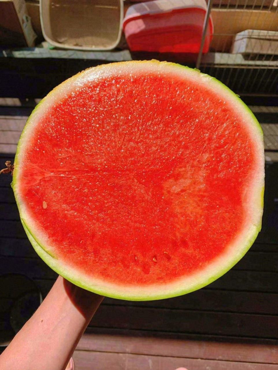 来约超甜无籽西瓜 墨童西瓜