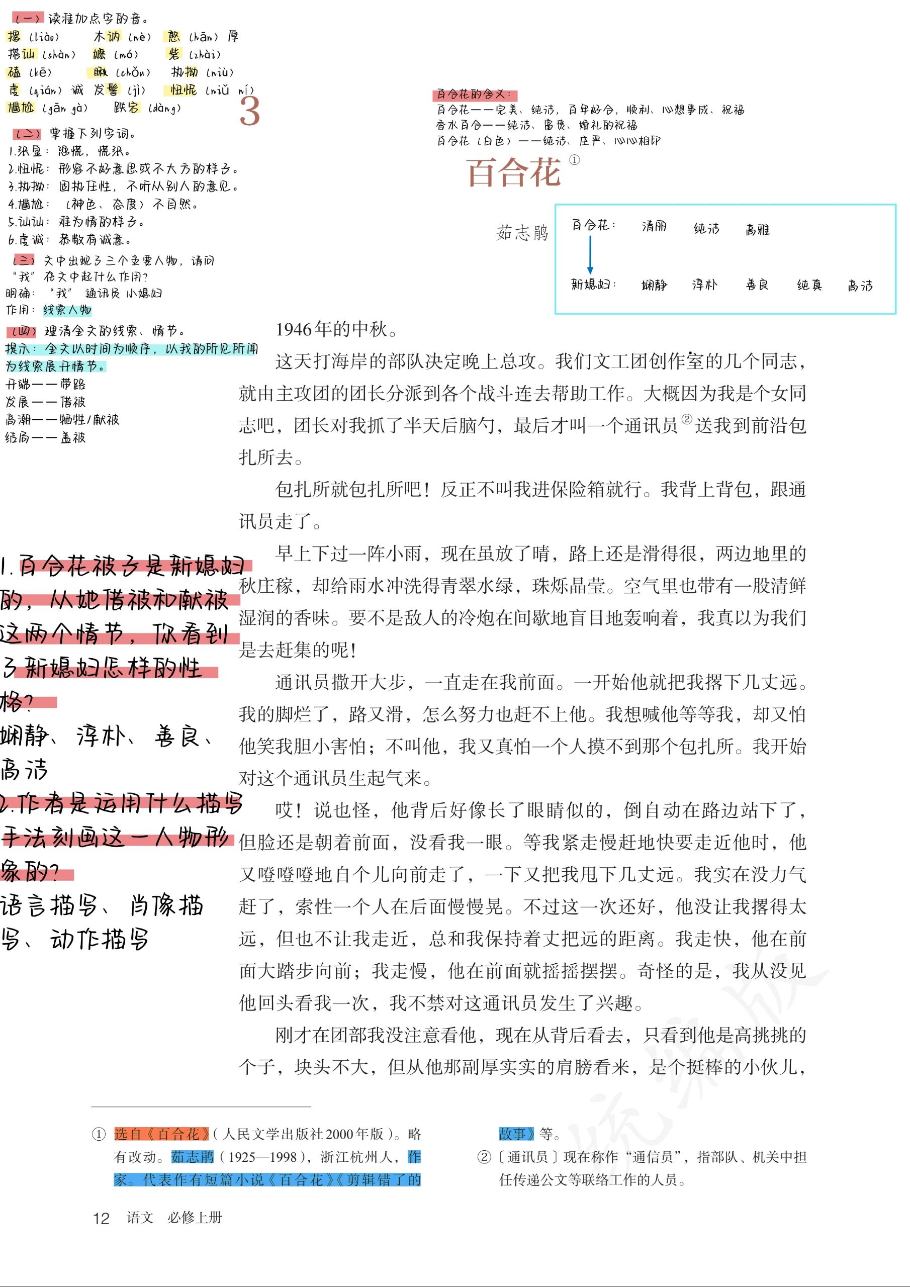 《百合花》笔记