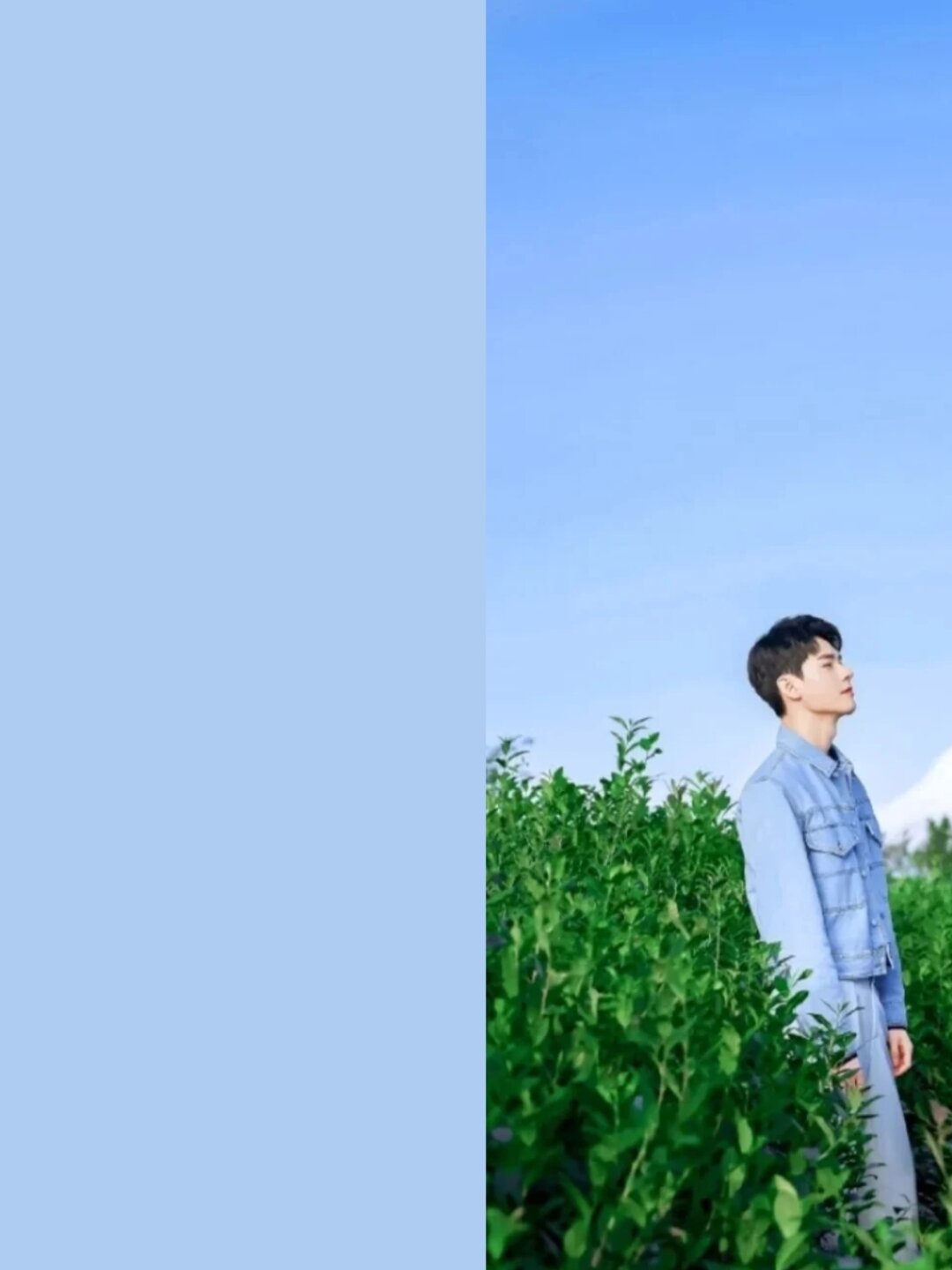 霁风蓝是这样的颜色96