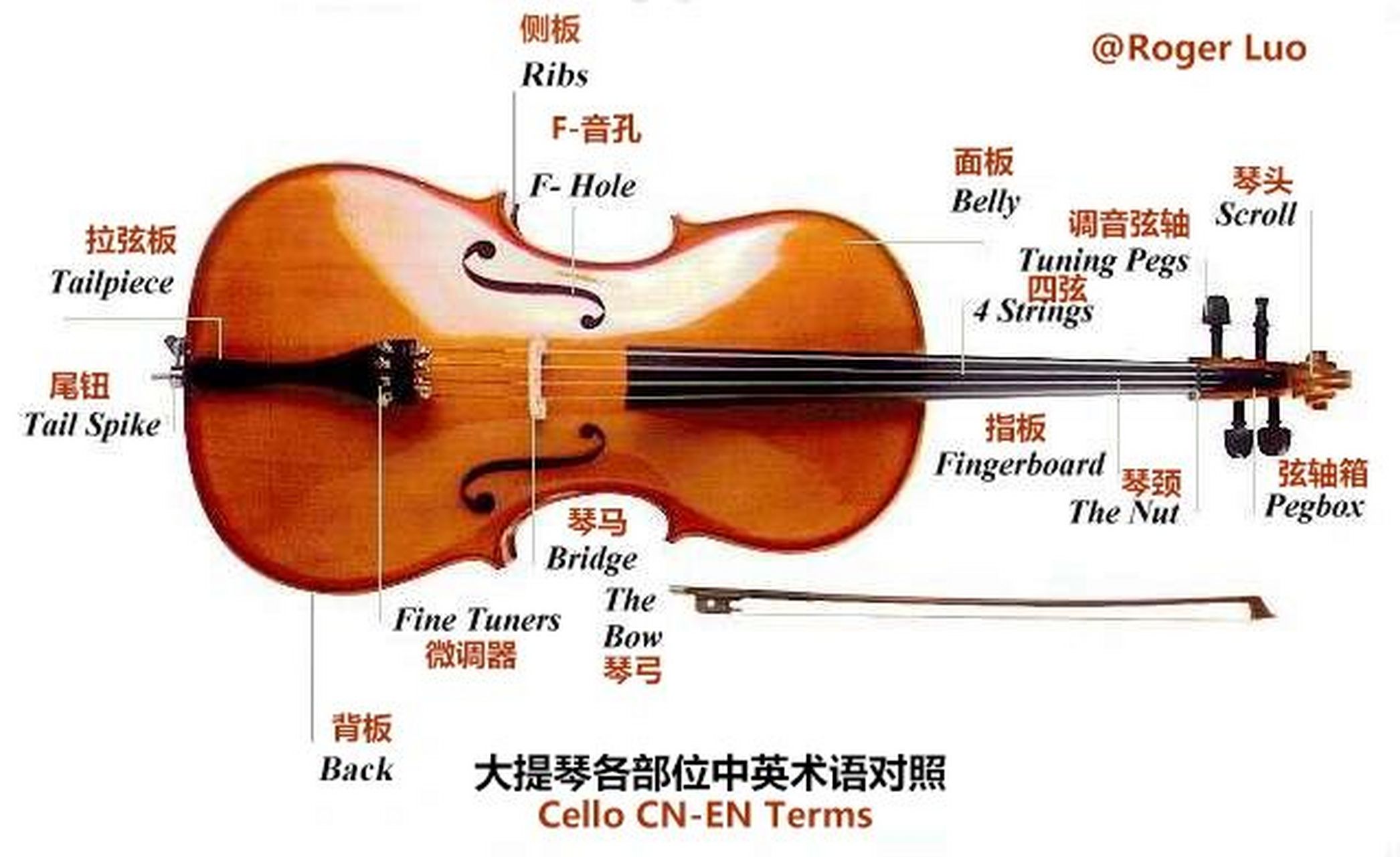 大提琴各部位名称中英翻译对照 今天为大家科普翻译一下,我喜欢的一个