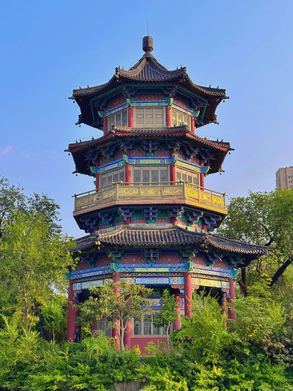 连云港 新浦公园 长那么大第一次进来,很棒9199