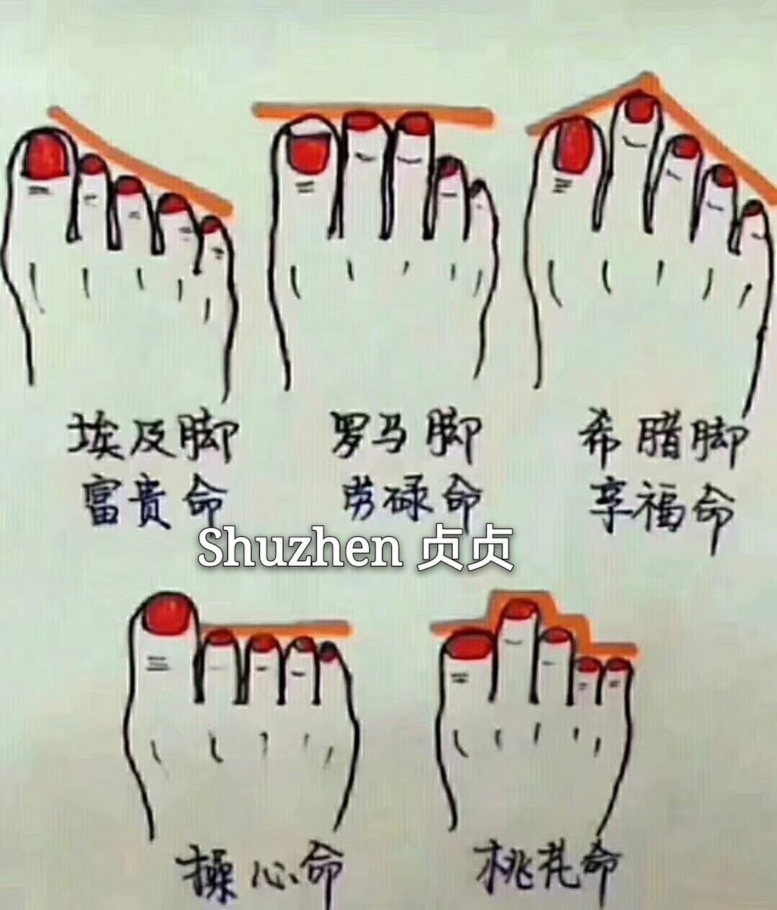 看脚型你是不是富贵命!我居然是劳碌命,好吧,我会努力的!