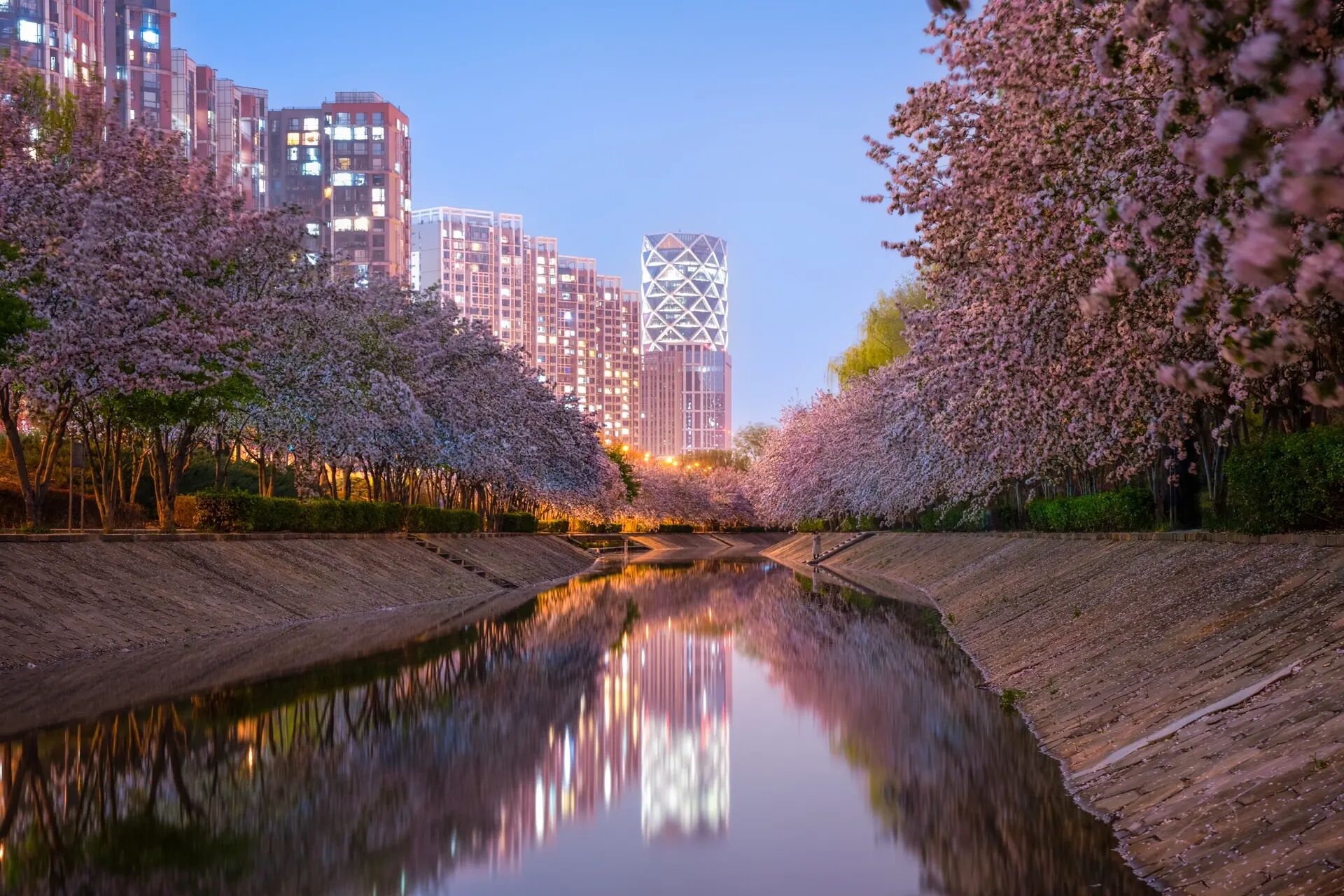 望京南海棠花溪打卡 打卡这两天被刷爆的望京南地铁站海棠花溪 	 位置