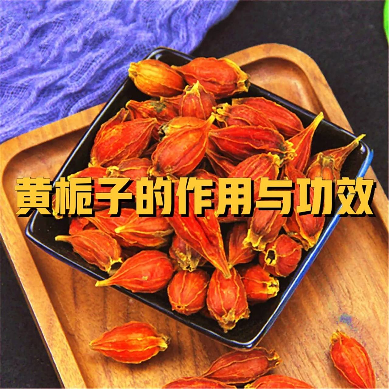 黄栀子的作用与功效 黄栀子为常绿灌术,高1.