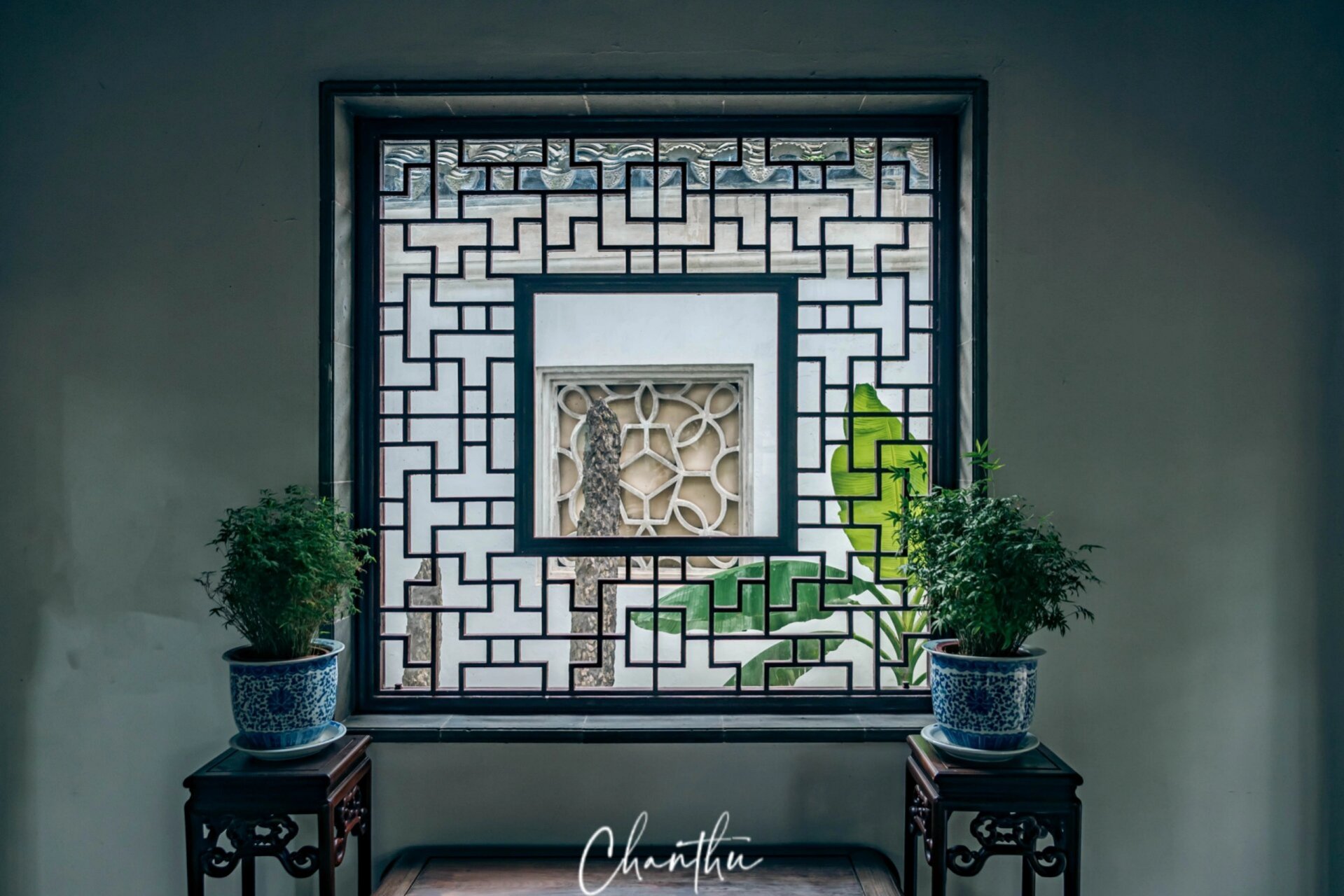 游览时人挤人,毫无游览体验?五峰园是个好的选择.