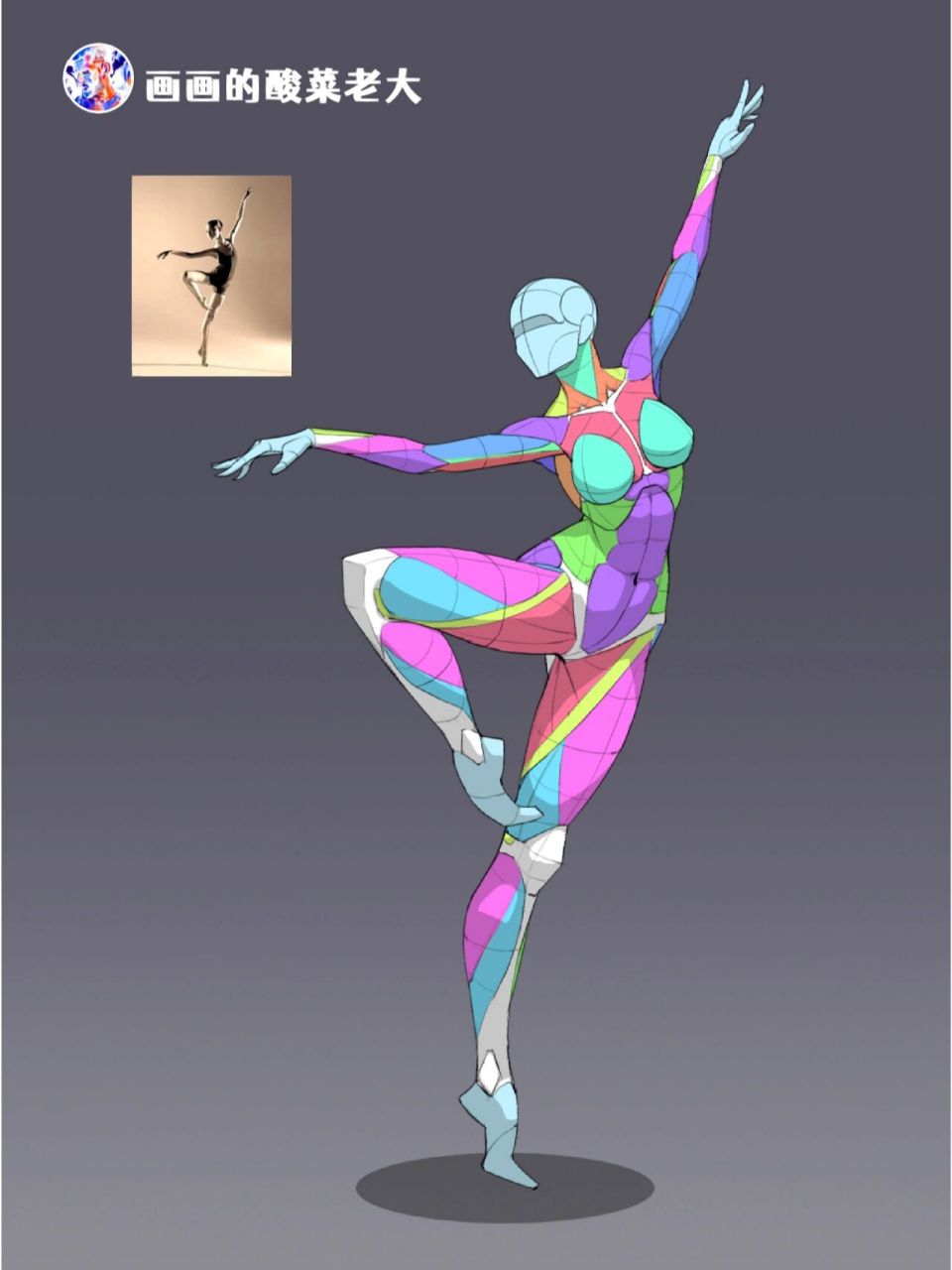 芭蕾舞人体肌肉结构概括23/100 真人参考来源网络