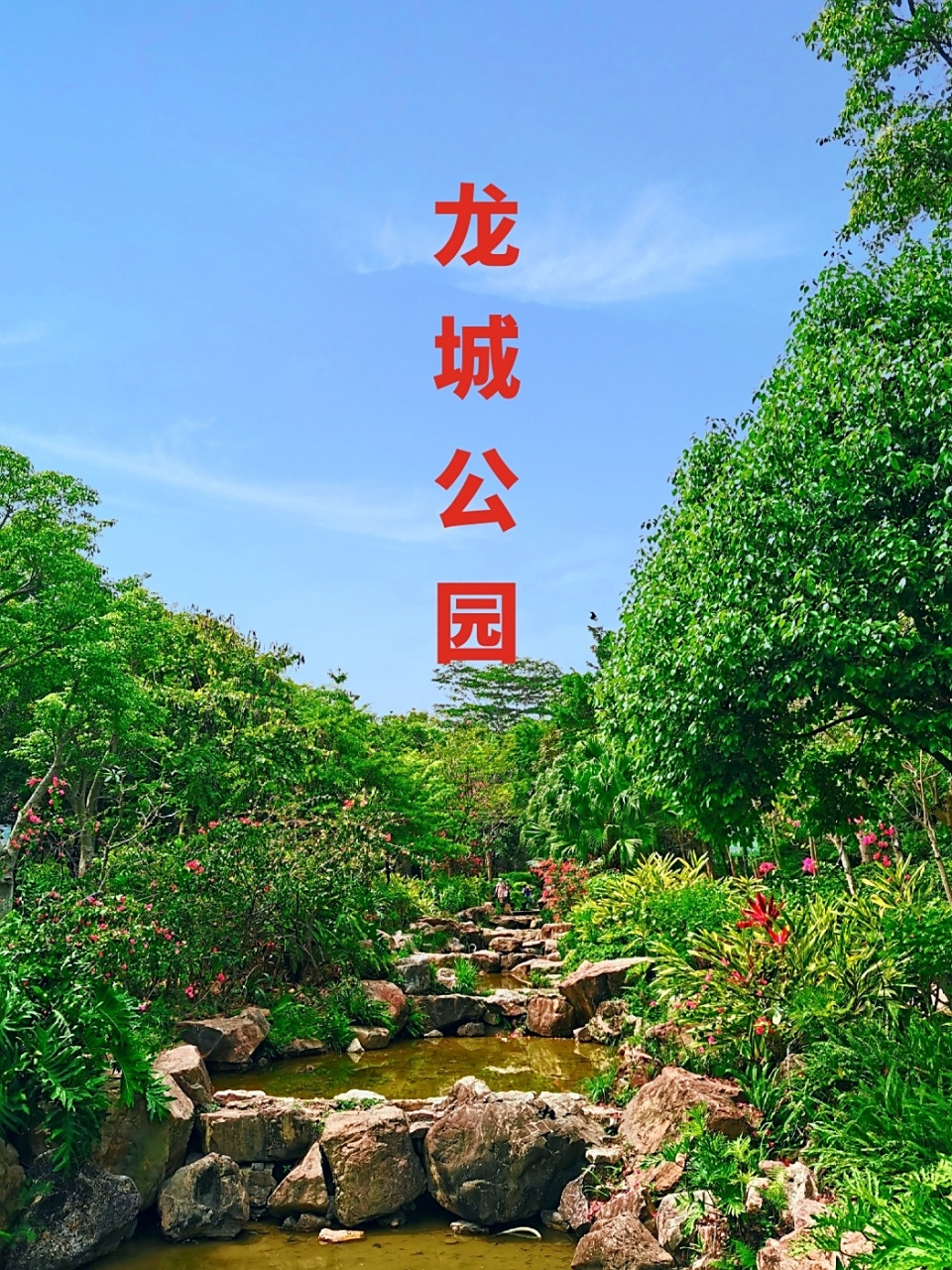 龙岗一日游之龙城公园 龙城公园有北门,南门,东门自驾停车都非常方便