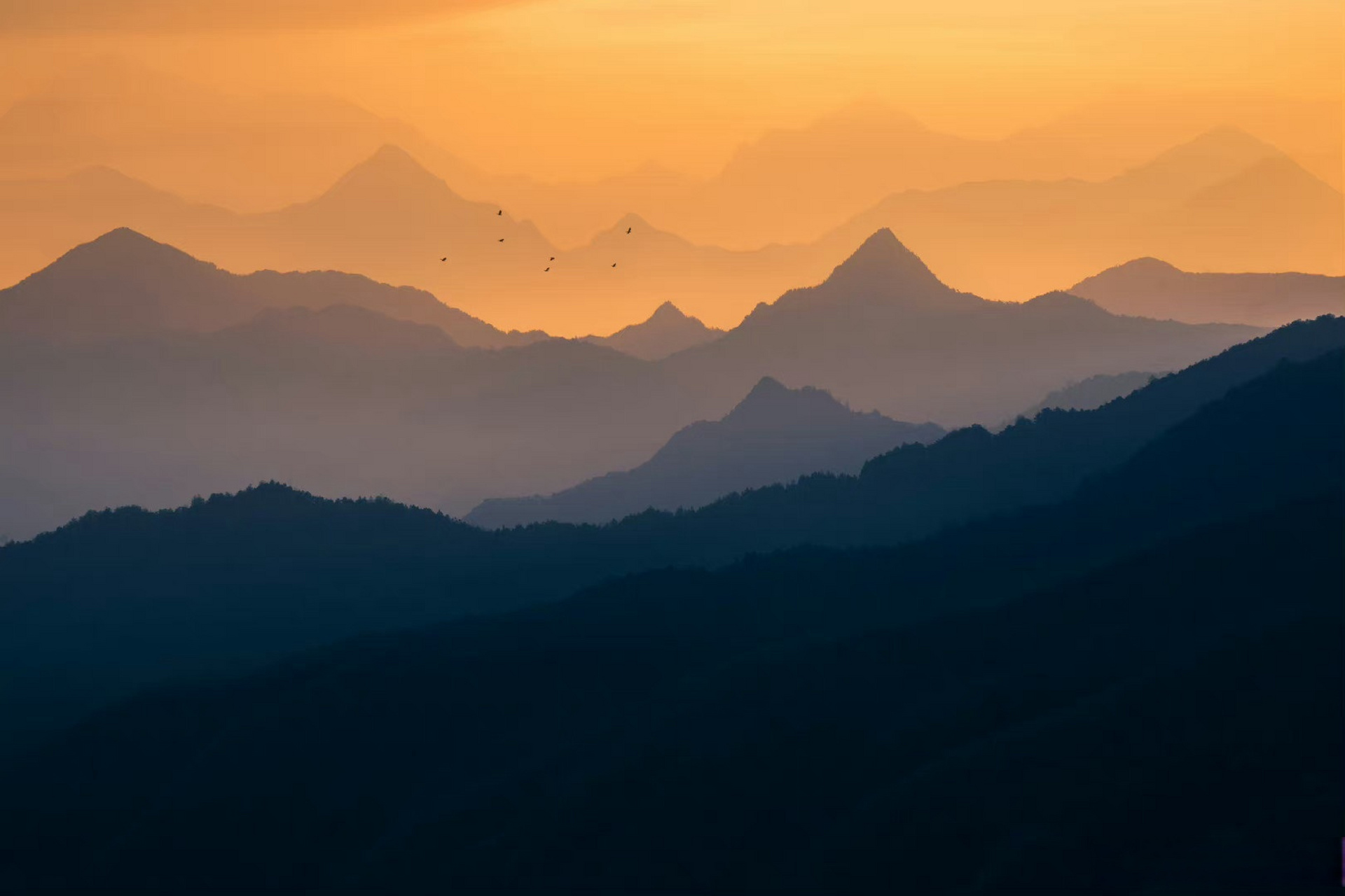 古风·难行路 时光荏苒难行路, 年少无知频碰钉.