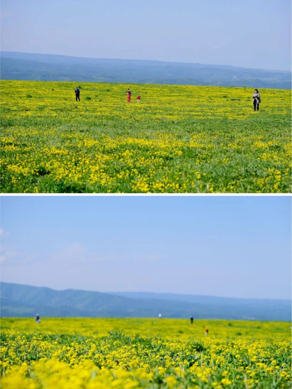 裕民县的景点都位于巴尔鲁克山 裕民县的景点都位于巴尔鲁克山72中