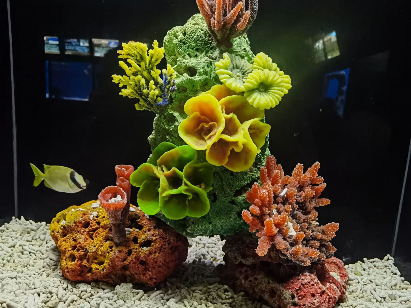 5 北海海底世界 下雨天 打卡北海海底世界 门票美团140  提前一小时