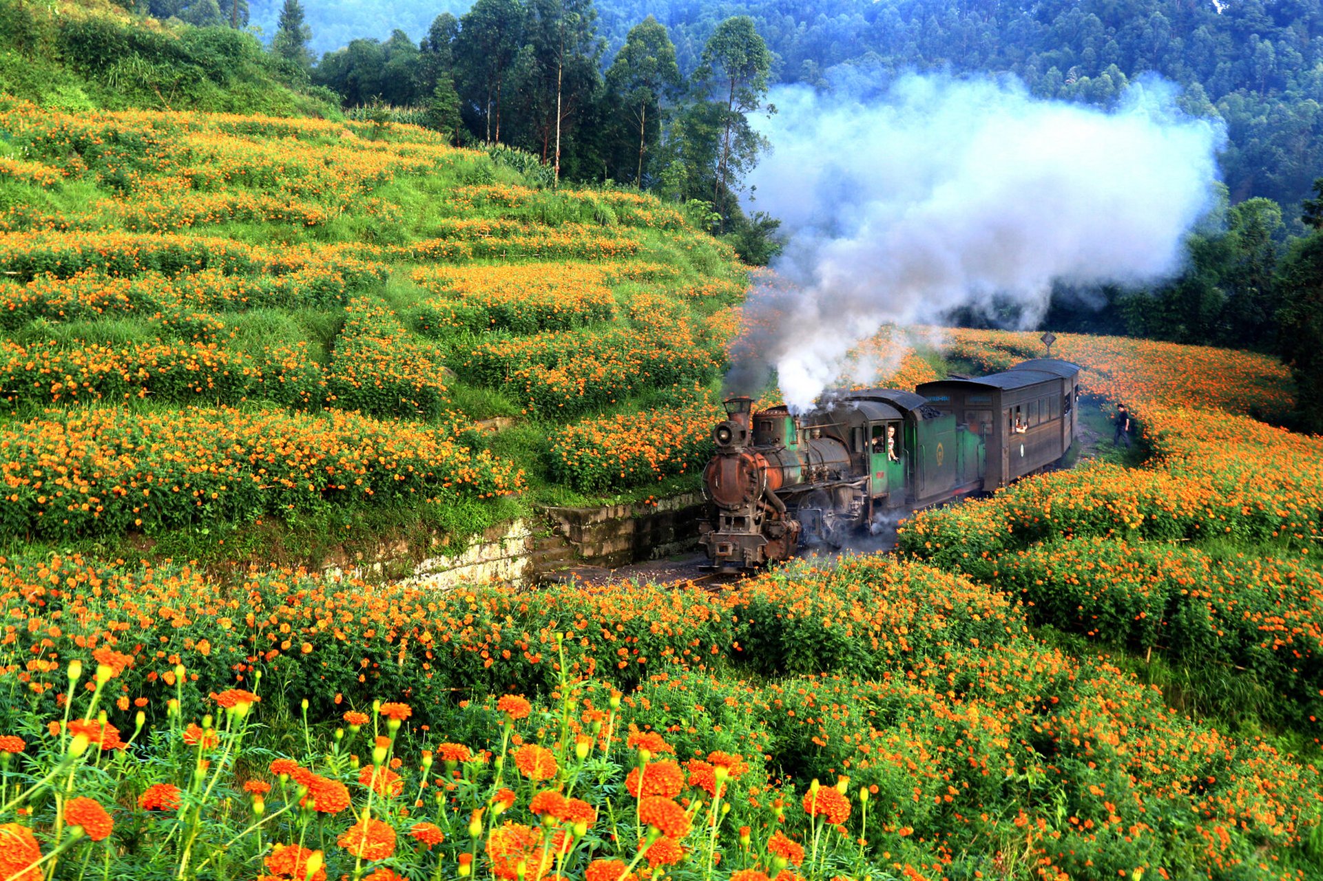 乐山犍为嘉阳小火车2022花季班次及票价 嘉阳小火车,运行在四川南部