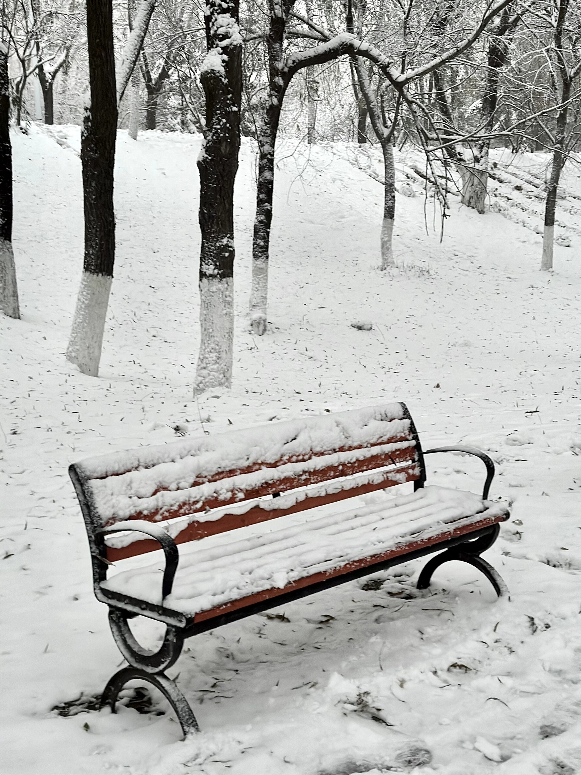 长春下雪图片图片