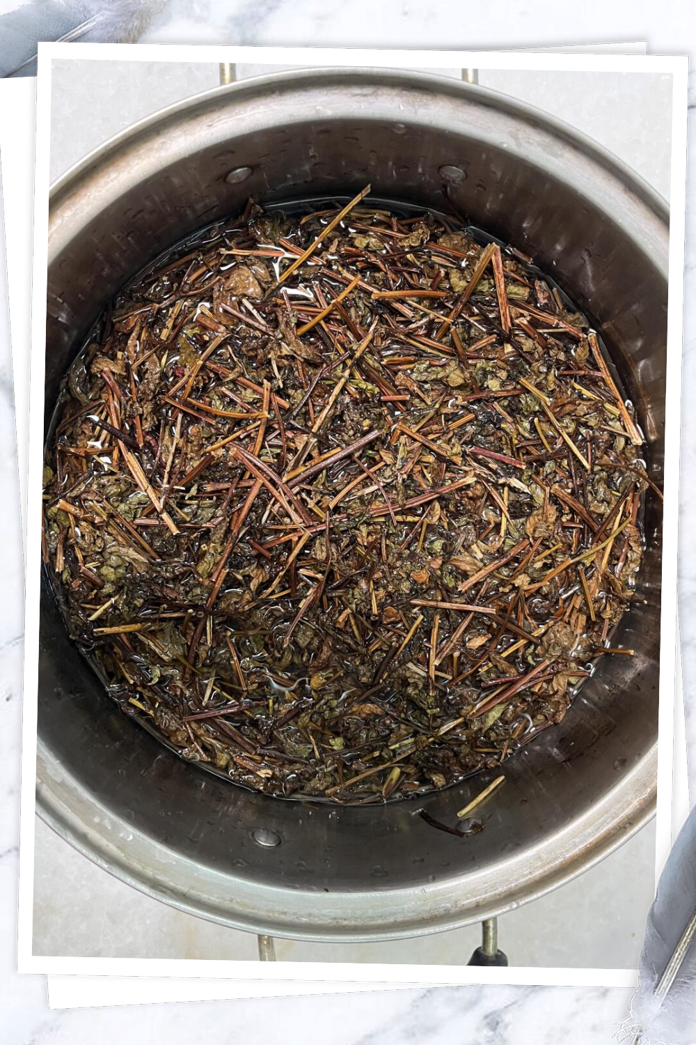 突然想起小时候妈妈经常会做仙草给我们吃,那时候觉得超级美味