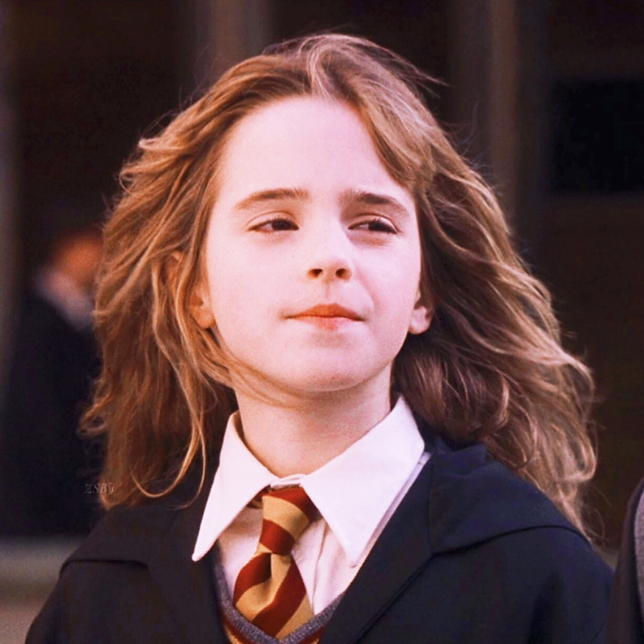 【赫敏头像】逢考必过护身符99 08北河予安 艾玛·沃特森×赫敏