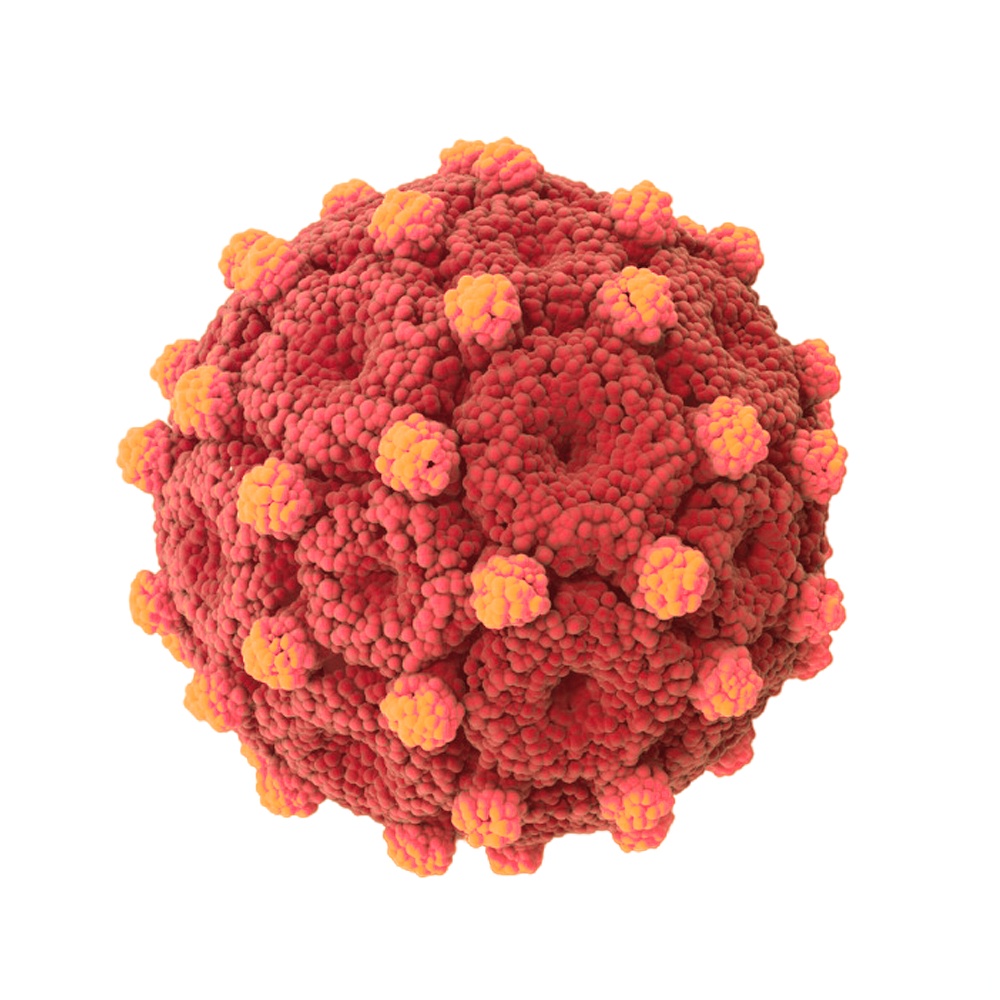 有推荐药物吗.#我的防护手册#