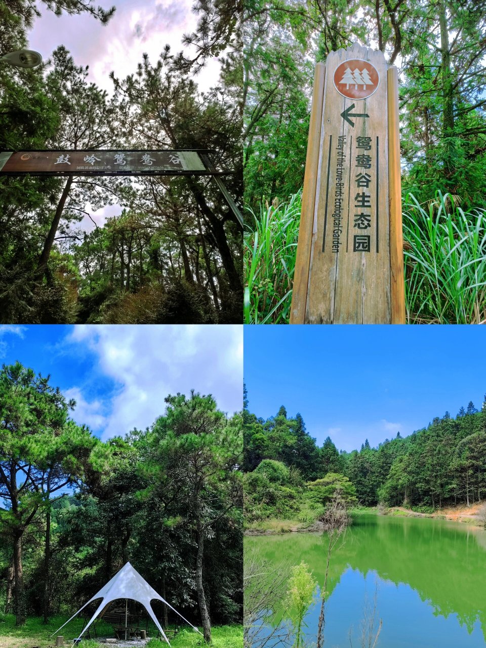 福州:鼓岭  20个必打卡网红景点(1日游) 福州鼓岭一日游攻略 051.