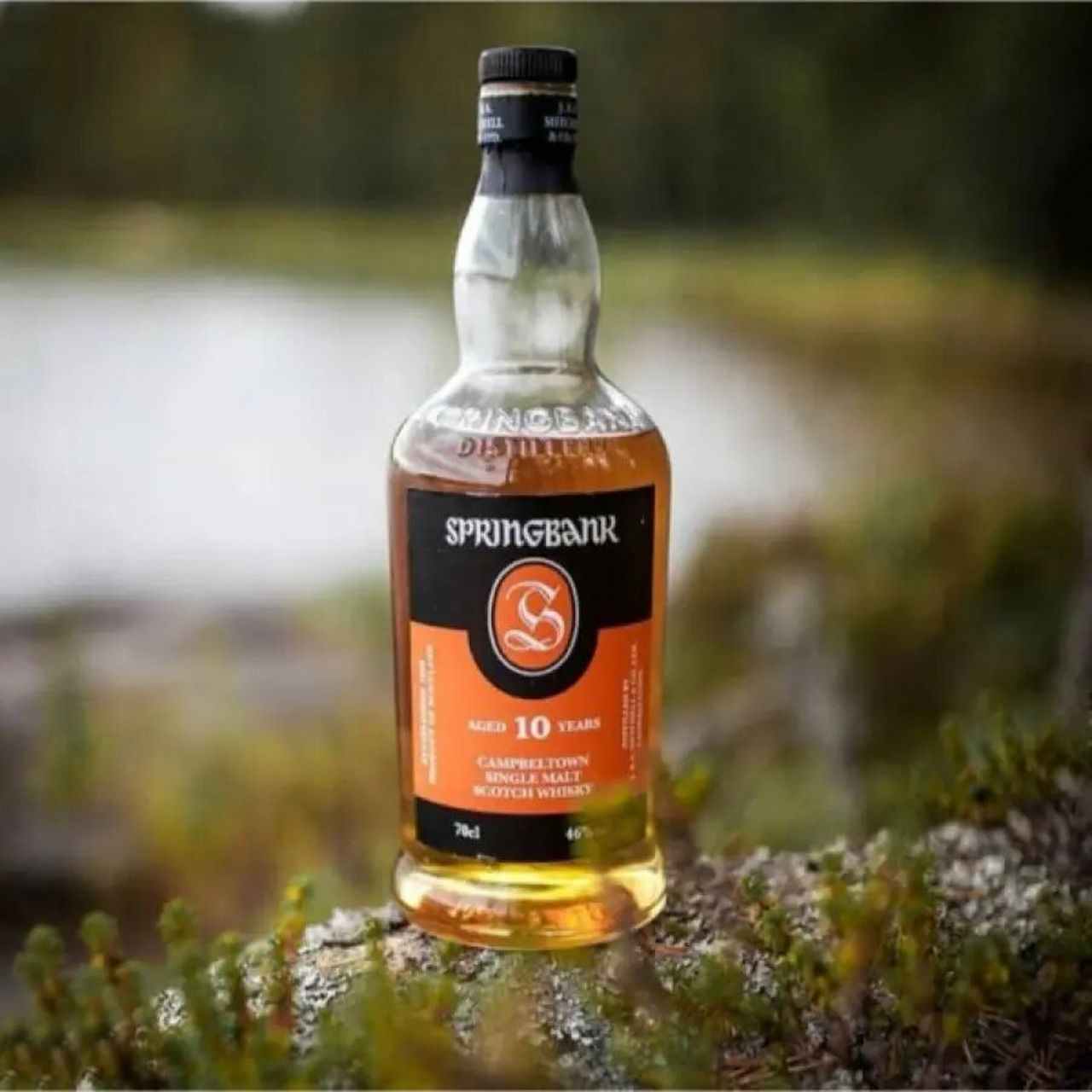 单一麦芽威士忌 springbank 10 years old single malt scotch whisky