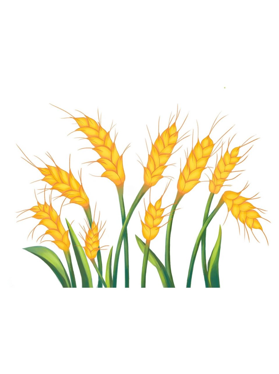 为大家分享一组可爱的卡通手绘插画, 展现麦穗,麦田,稻田以及秋痰的