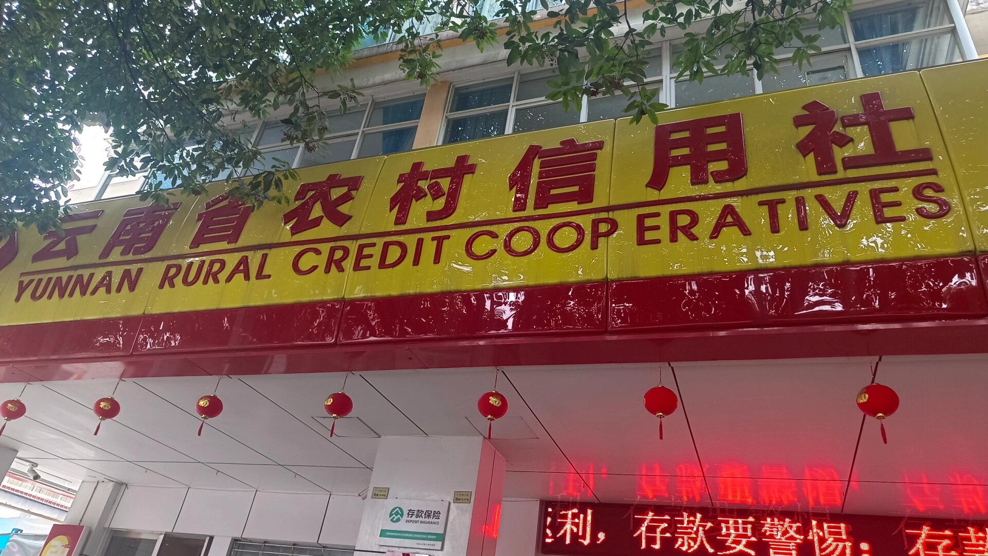 云南农信logo