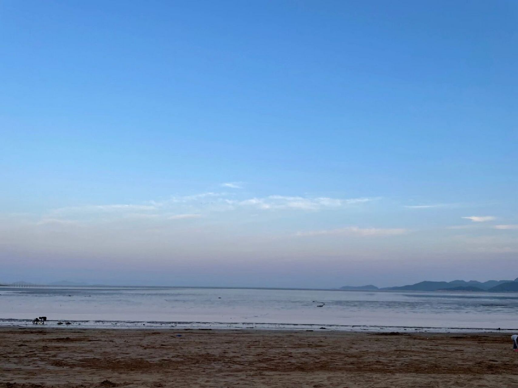 台州三门沙滩露营7215小贴士 地点 : 三门木杓沙滩 时间 :  五一