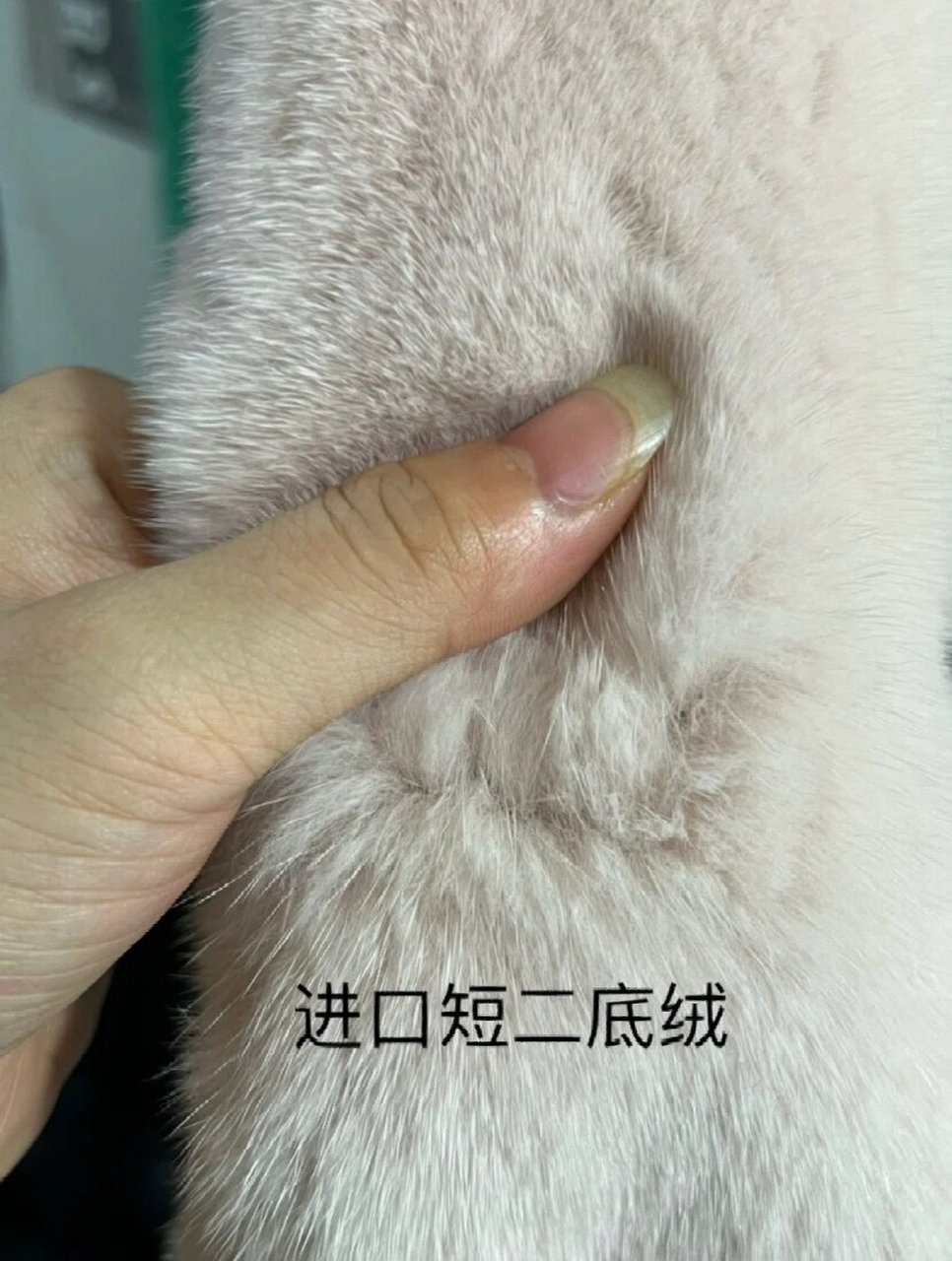 进口水貂与国产水貂的区别