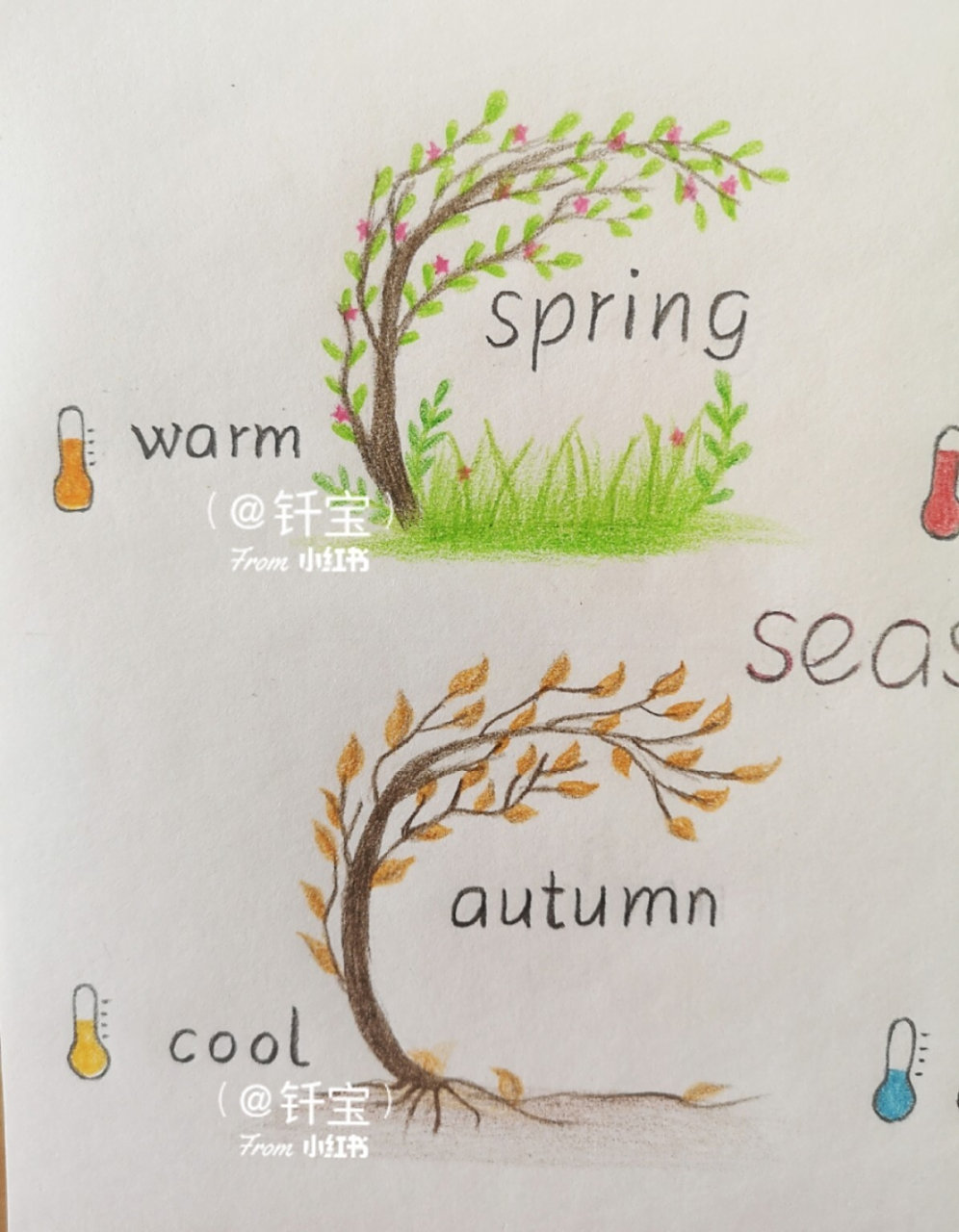 用一棵树来区分97919495简单易画99小学英语思维导图已经