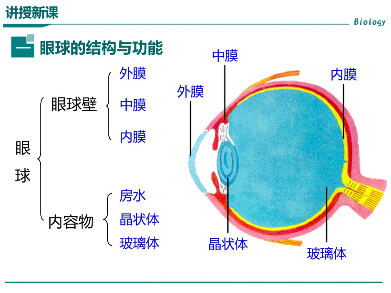 初中生物