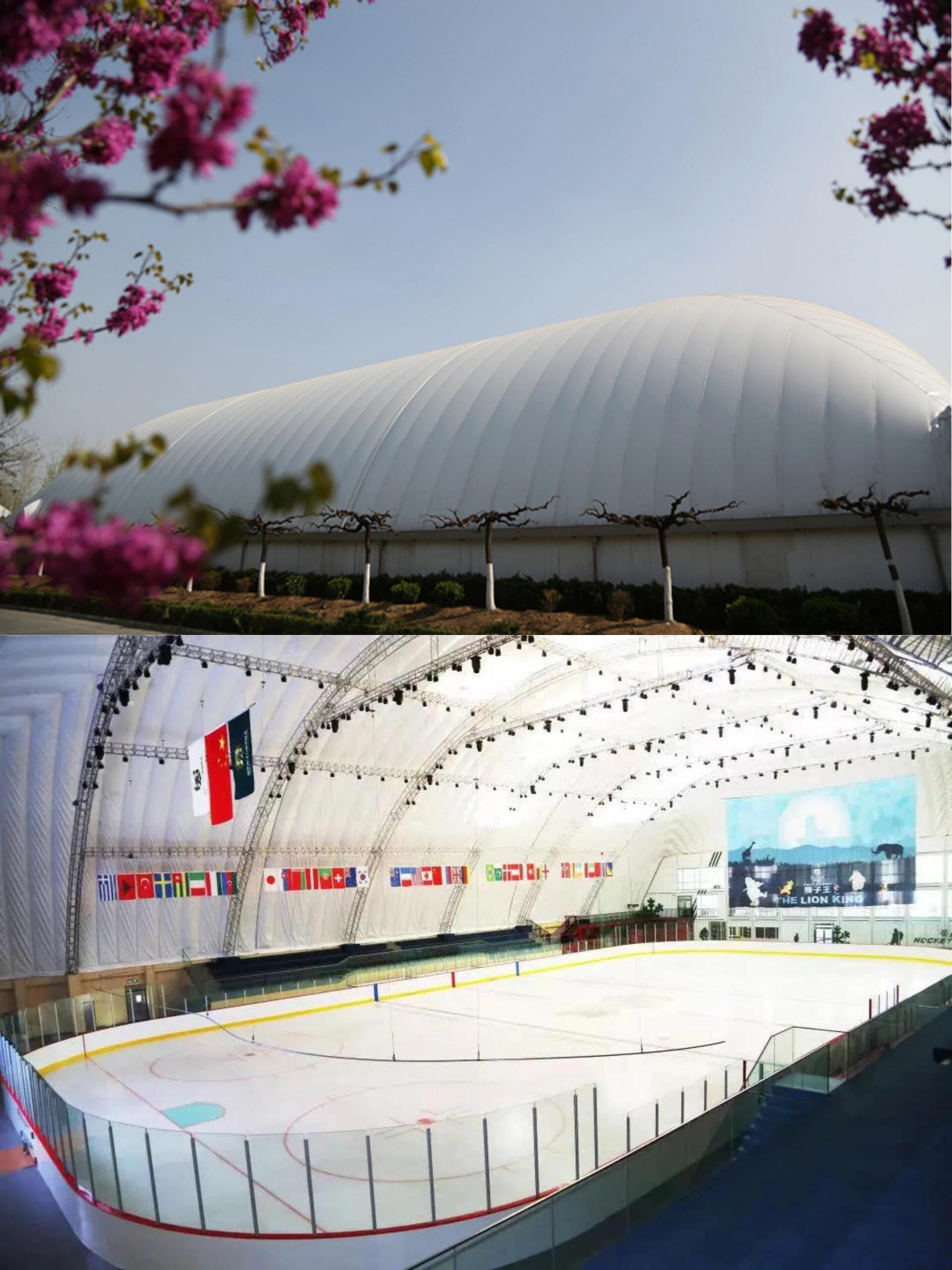 每天认识一所国际校丨北京市私立汇佳学校 99北京市私立汇佳学校