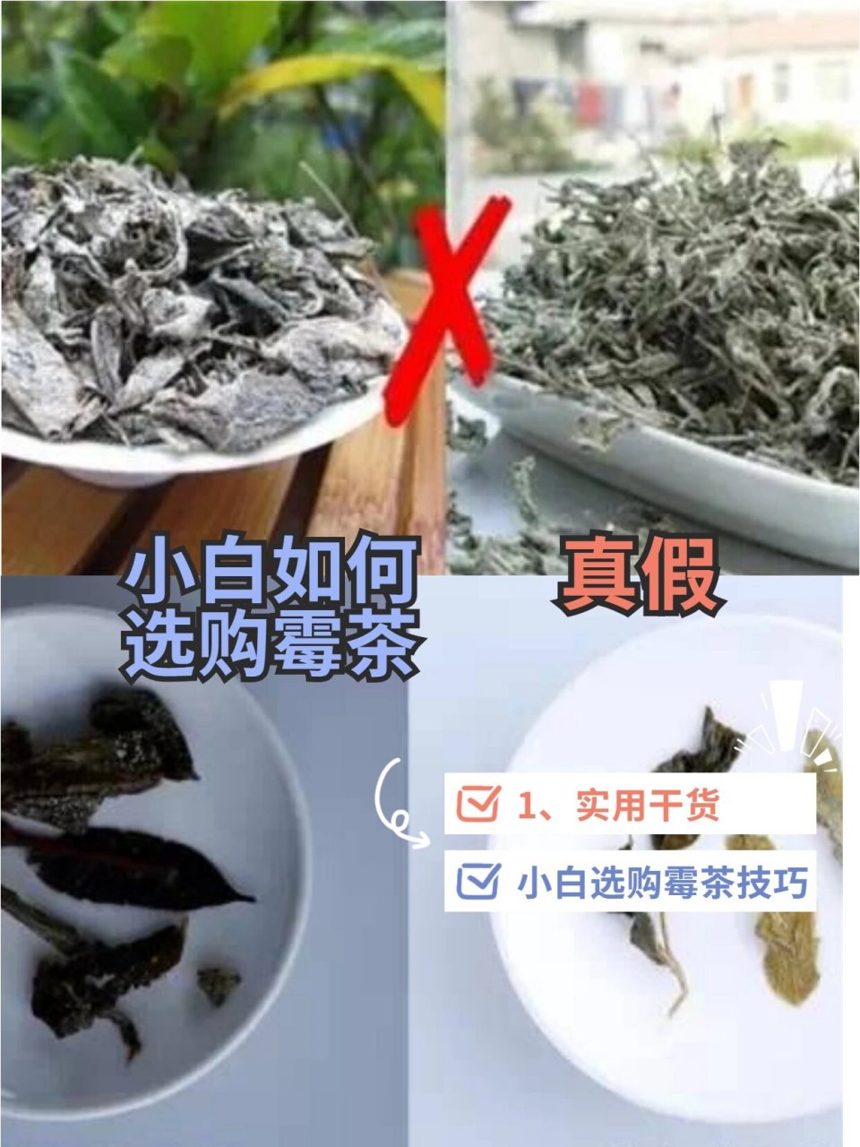 莓茶真假辨别图片图片