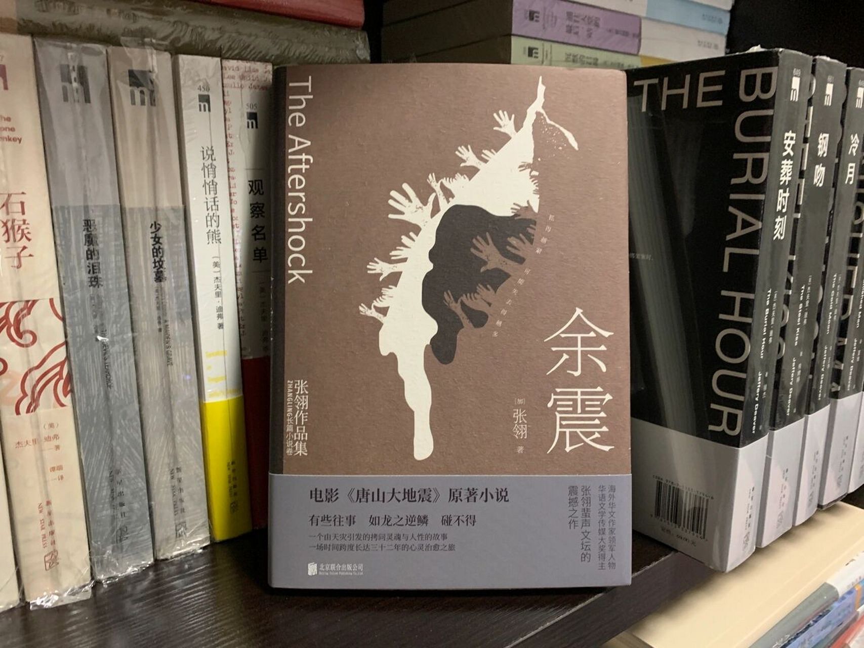 剧情小说@《余震》 92书名:《余震》 92作者:张翎 94一句话评论