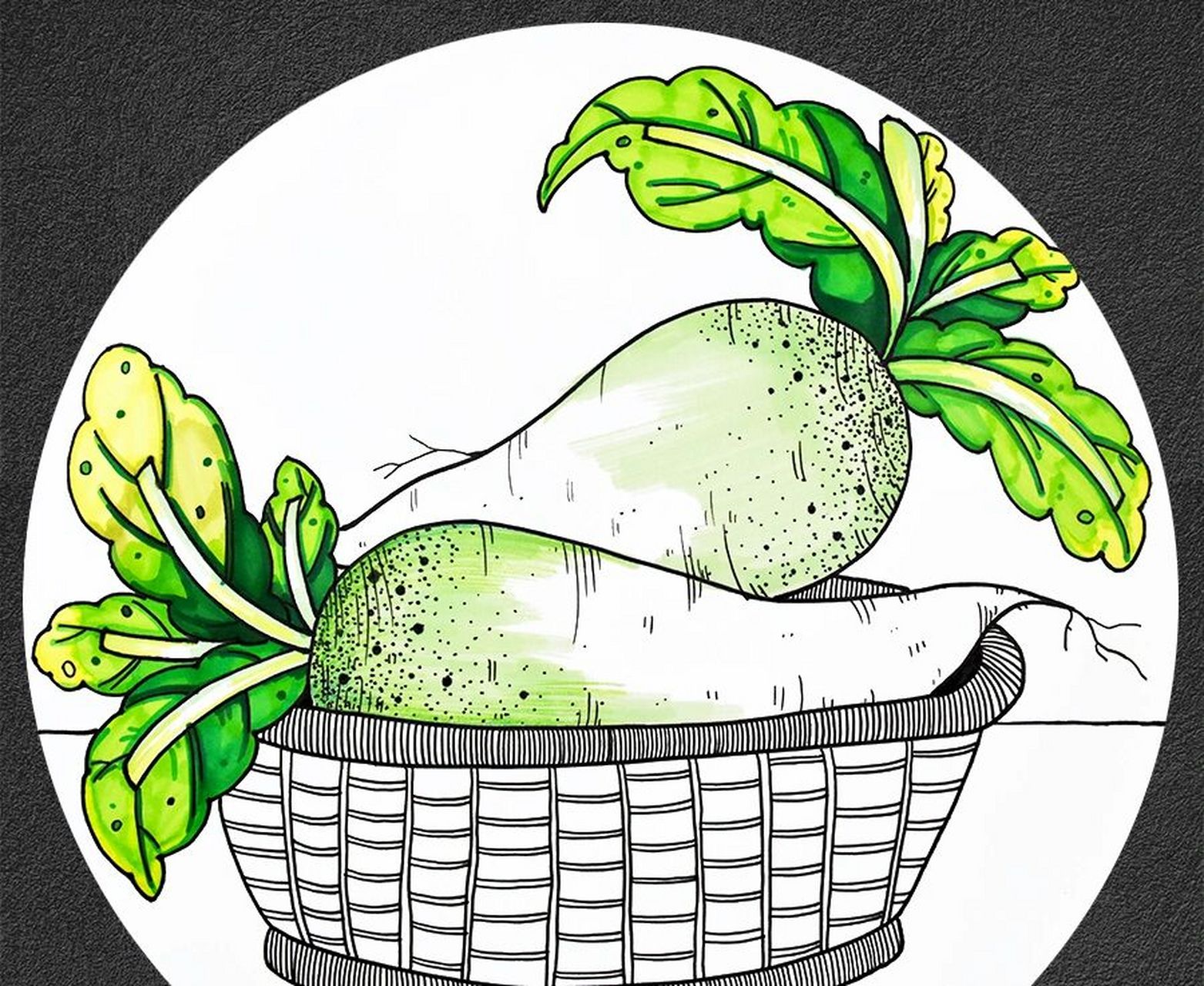 儿童画教程|一篮萝卜 【教学重难点】 98 ①通过图片和实物的观察