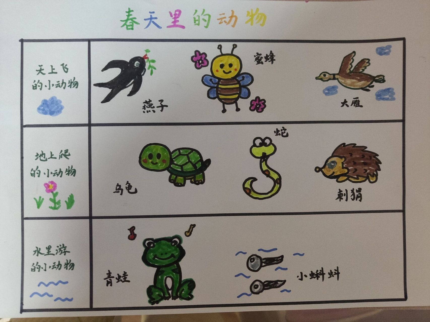 幼儿园作业——春天里的动物 7815感谢小红书给了我们参考的模板