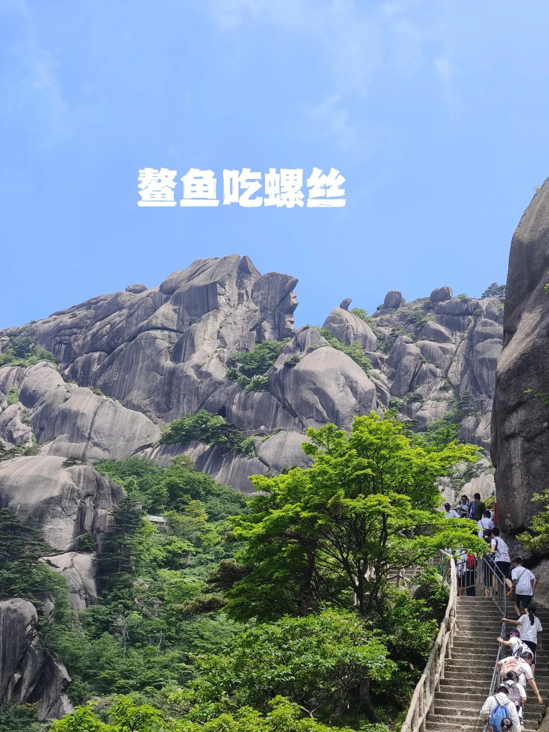 黄山十大怪石图片
