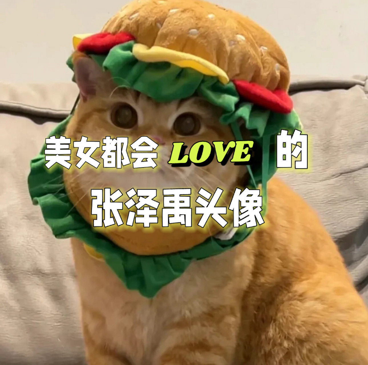 张泽禹头像 我又来更新头像啦!这次是小宝张泽禹!这几张真的都超爱的