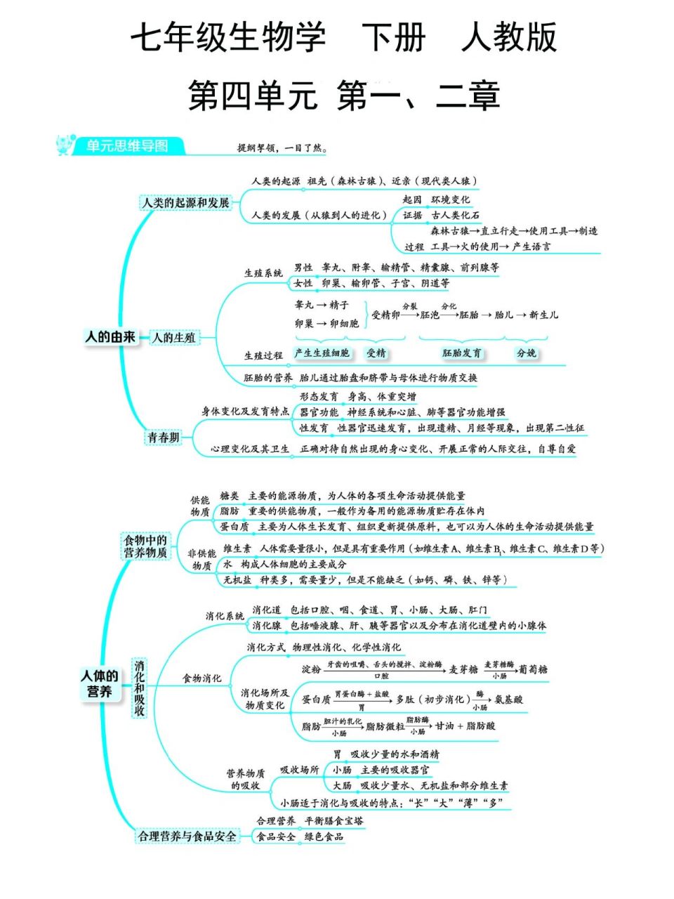 七下生物第四单元第一二章的思维导图来咯!