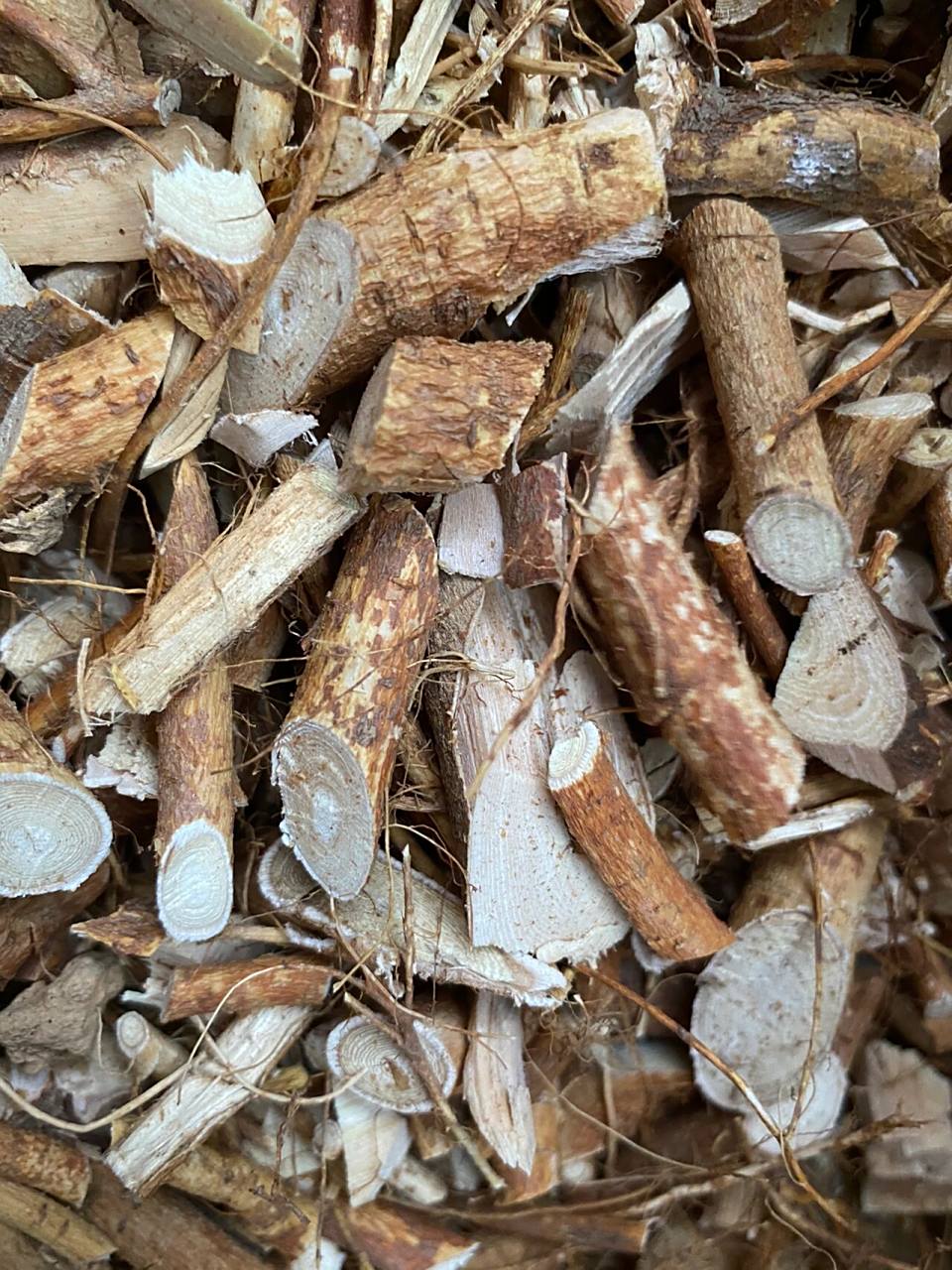 野生五指毛桃 功效:健脾补肺,行气利湿,舒筋活络.