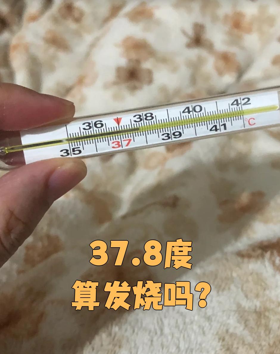 8度算发烧吗?