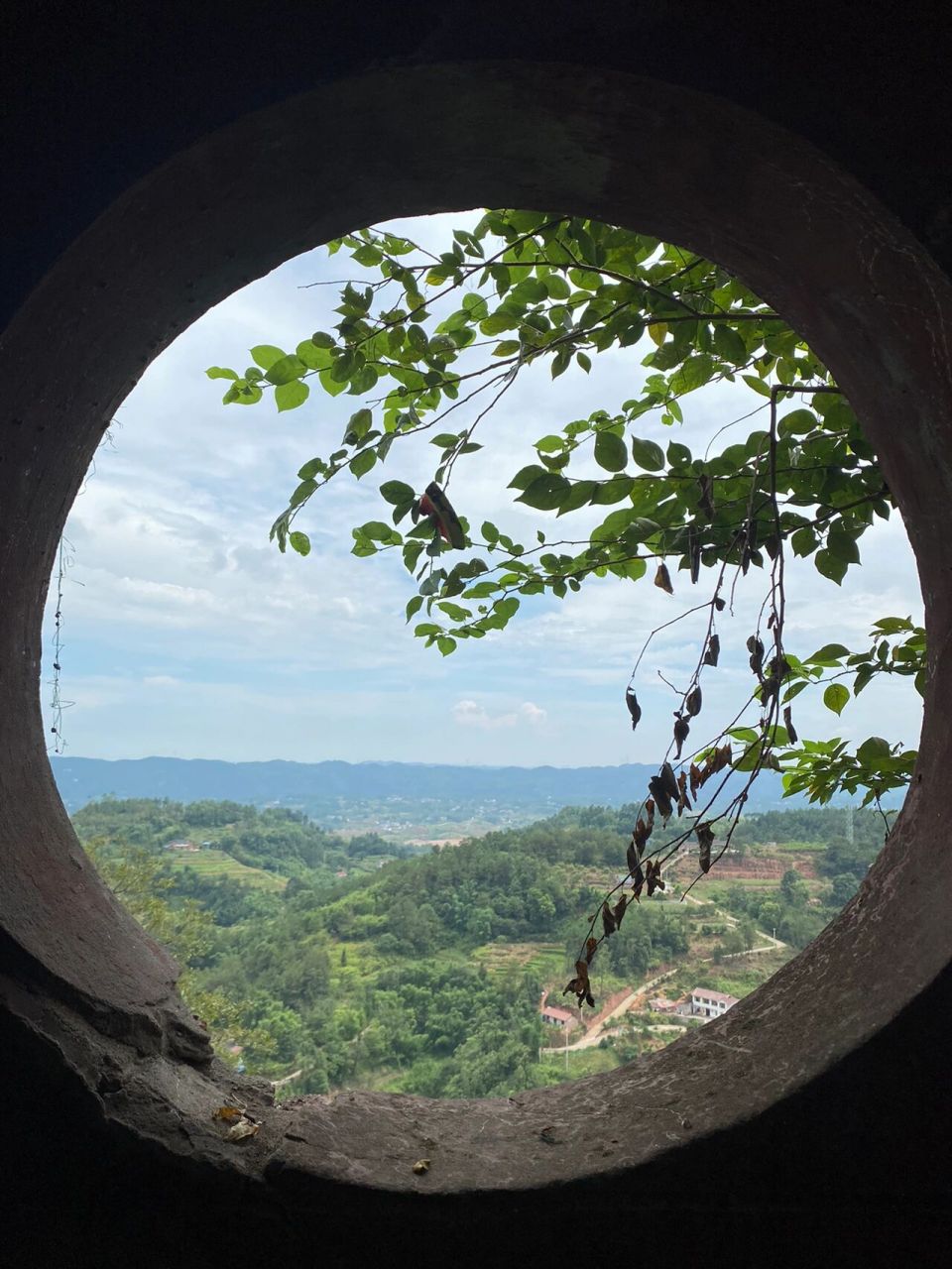 在宜宾,推荐冷门景点之南溪云台山森林公园 免费景点,很多值得拍照的