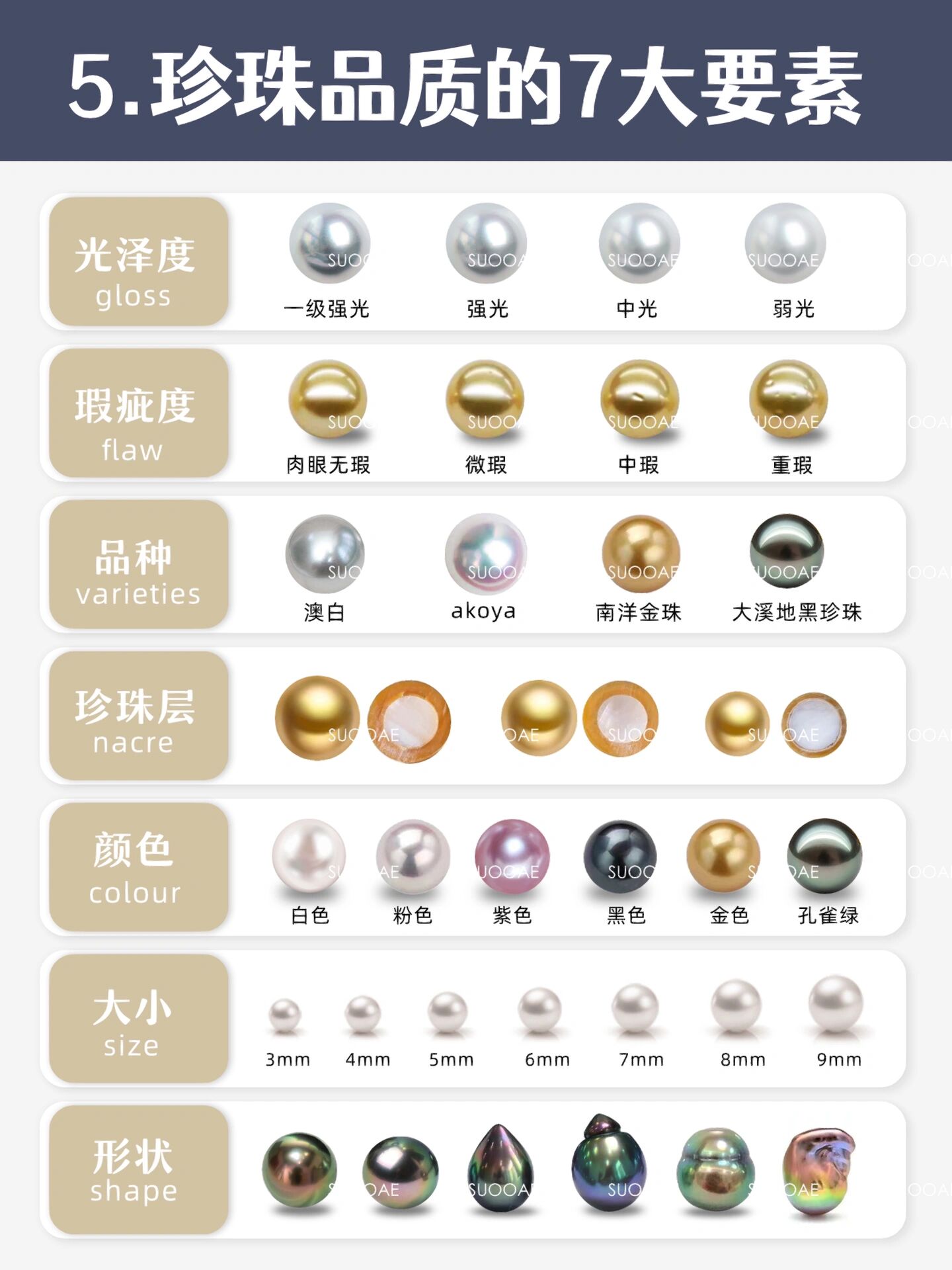 国内一直以淡水珍珠为主营种类,很多宝宝甚至还没分清海水珍珠的种类