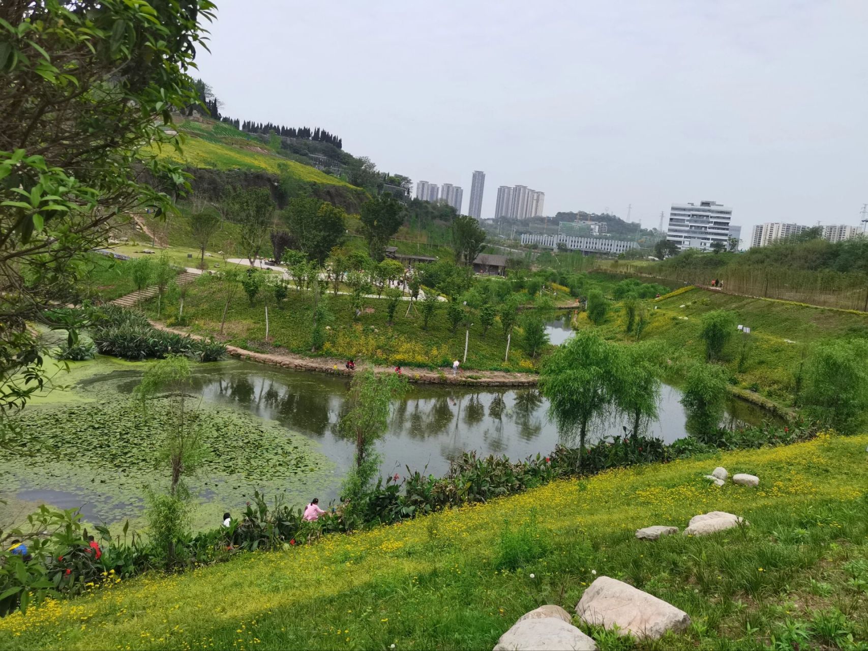 伏牛溪公园 金堂湾站下车就到,人少景美,空气好,还有登山步道,适合