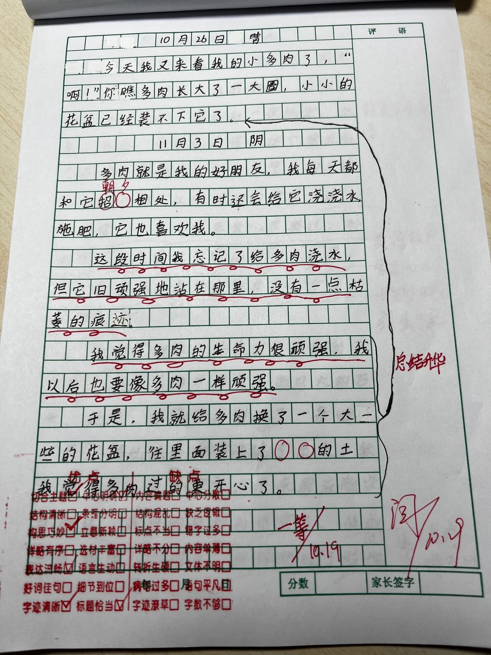 四年级观察日记作文300字左右(四年级观察日记作文300字左右怎么写)