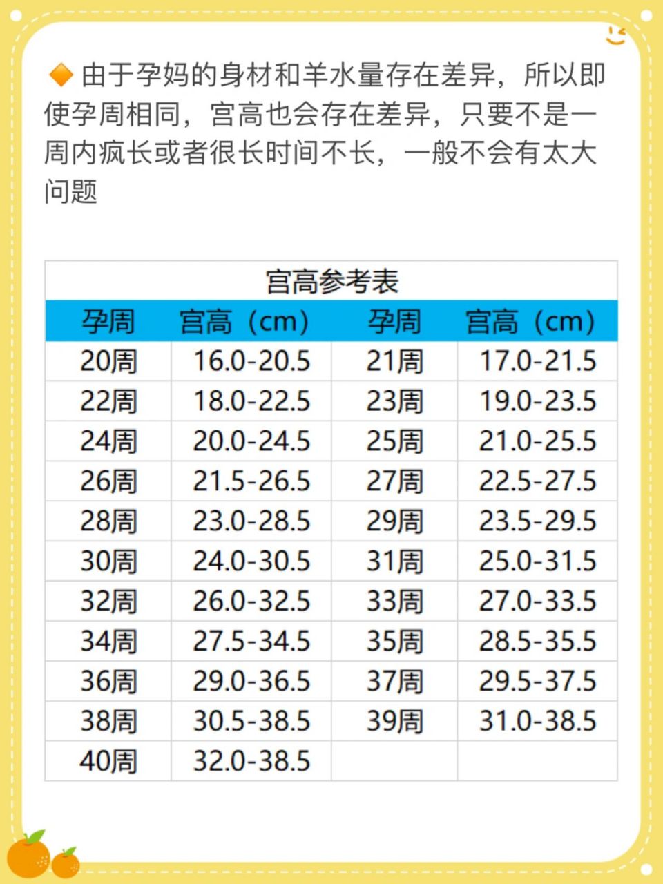 宫高怎么测量图解图片