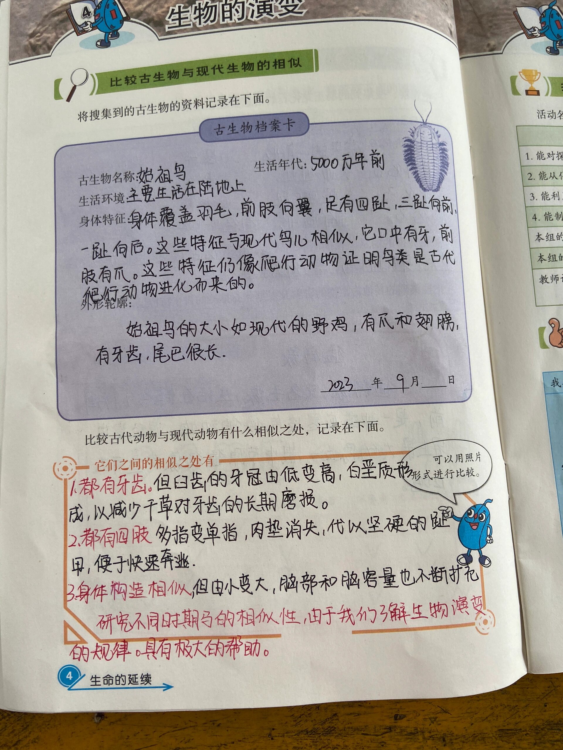 冀人版六年级上册科学活动手册4–6课