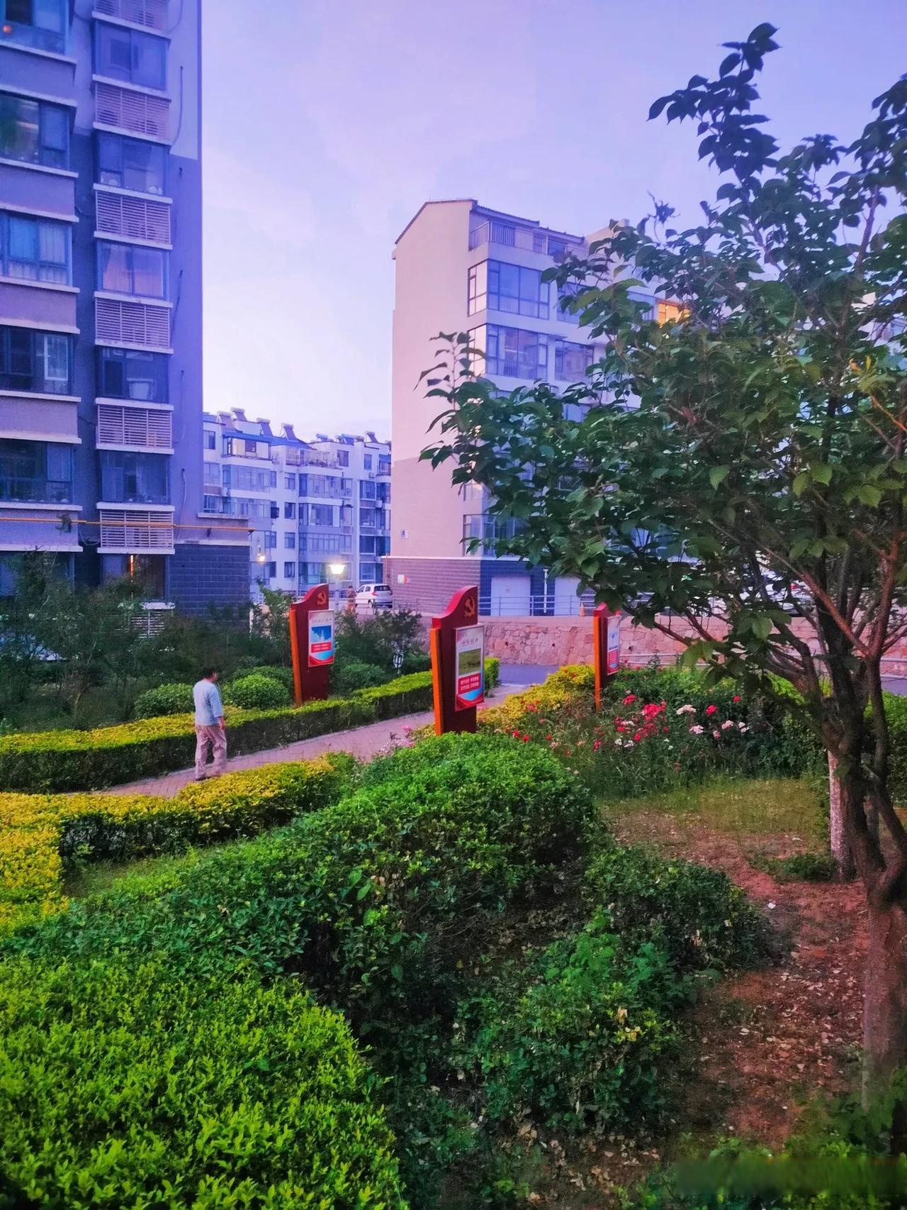 这个小区比较大,楼多,一部分建在半山腰上,路不是很好走,不过绿化的