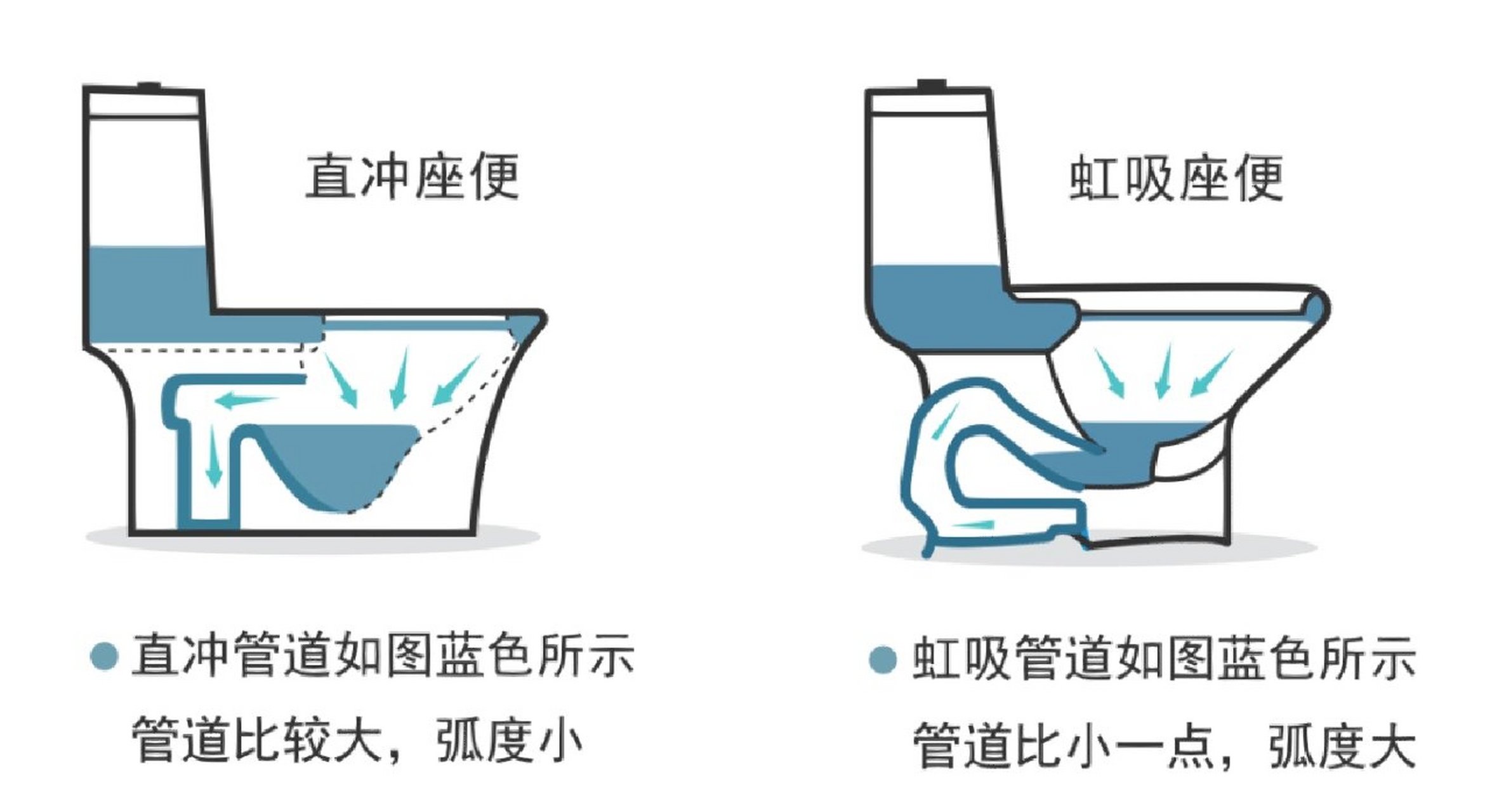 直排坐便器图解图片